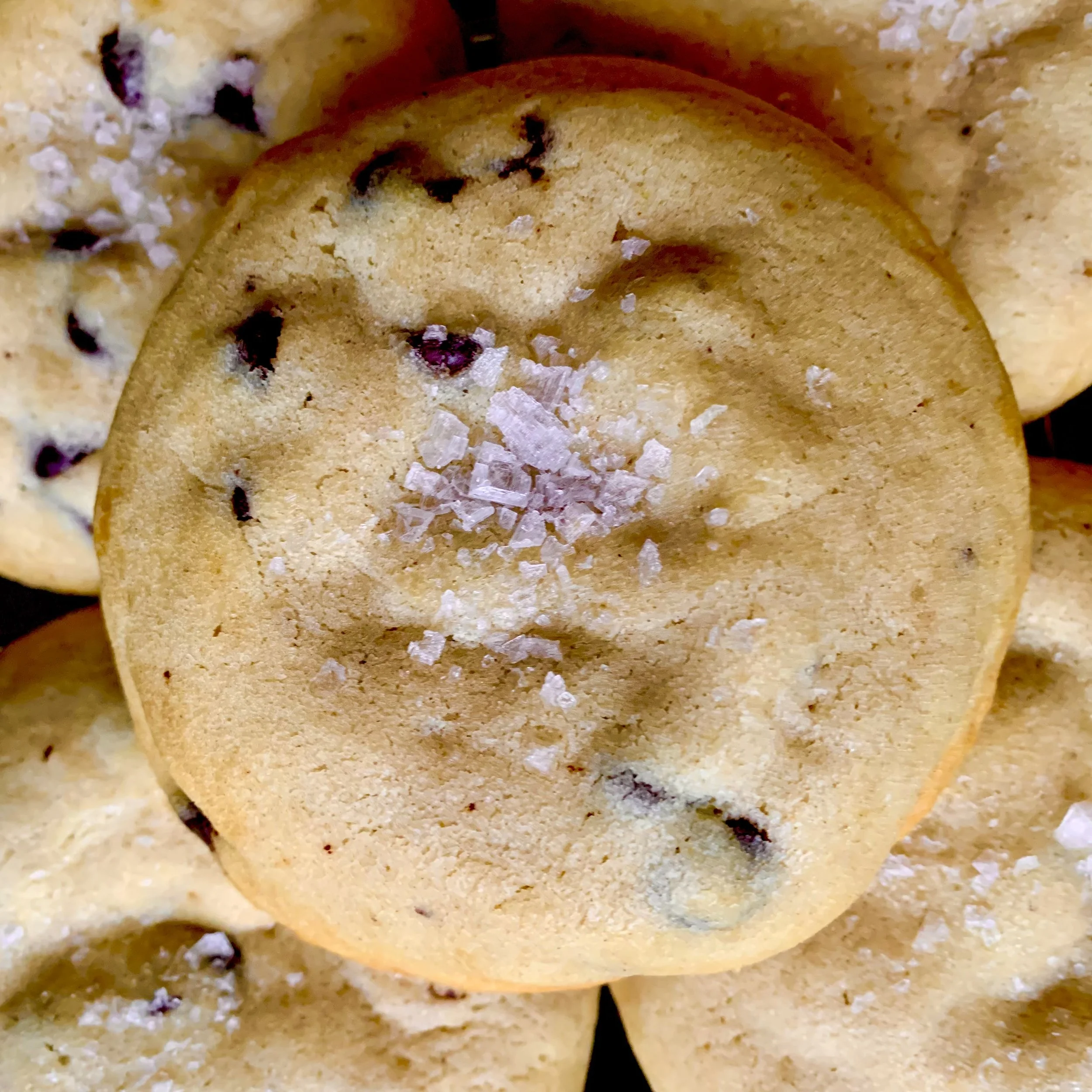 Vegan Sea Salt Chocolate Chip Cookies (6)