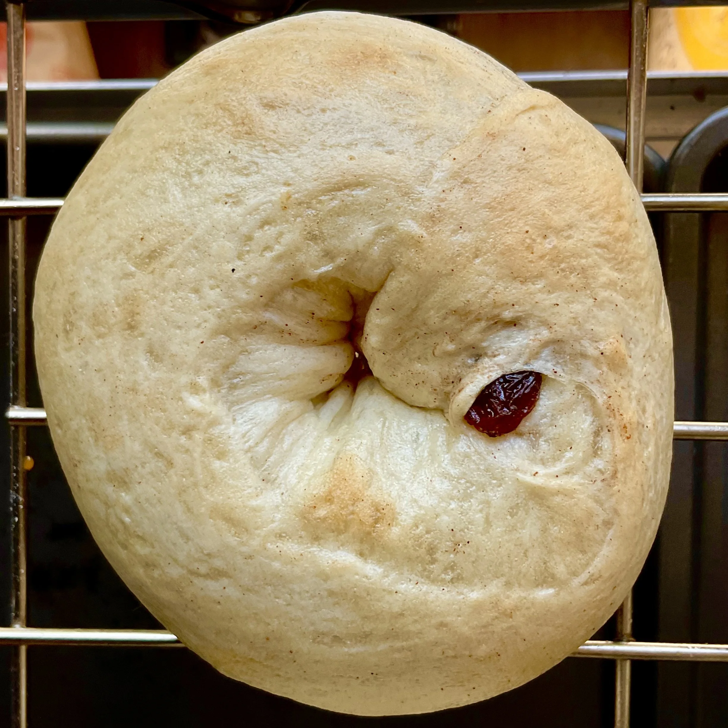 Cinnamon Raisin Bagels (4)
