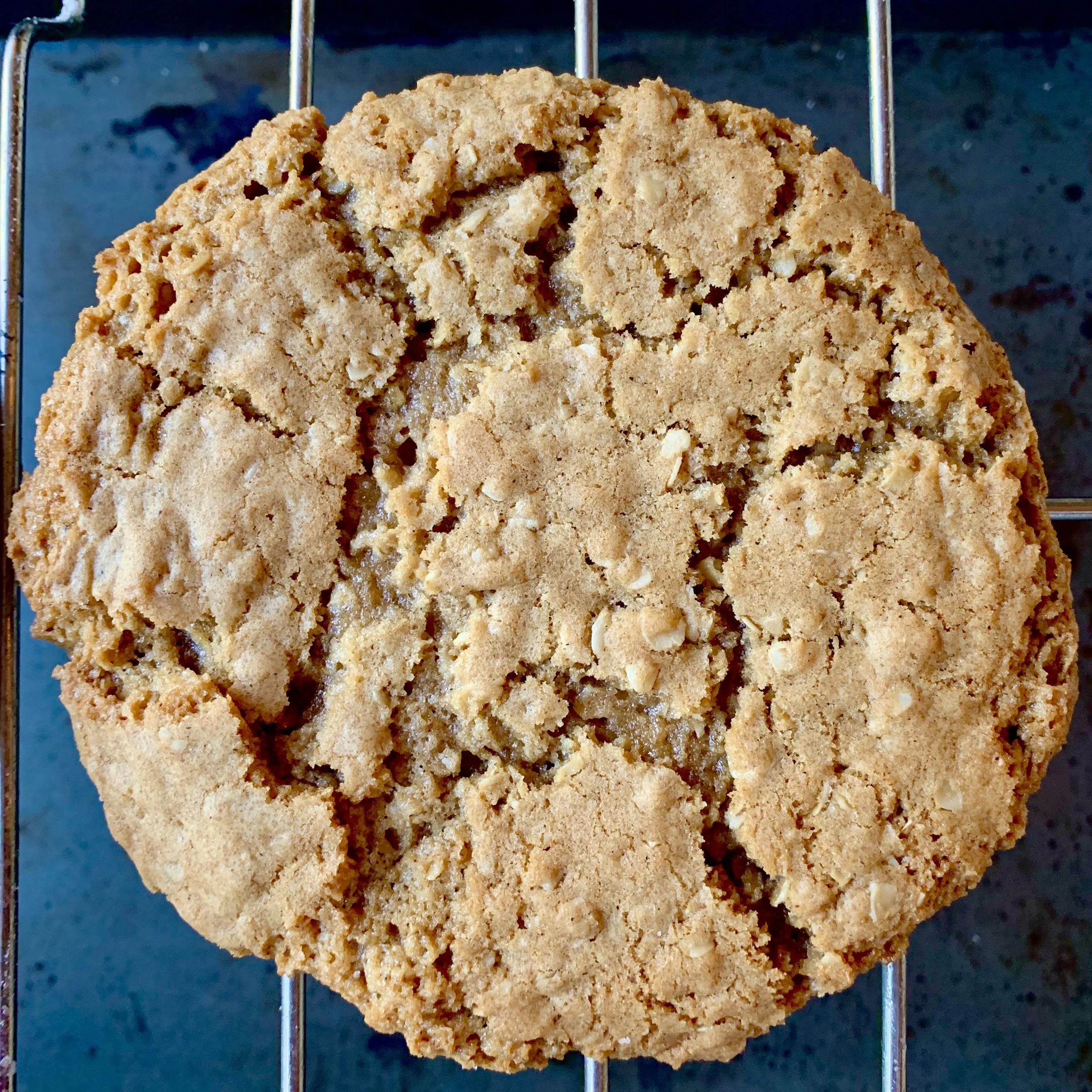 Brown Butter Oatmeal Cookies (6)