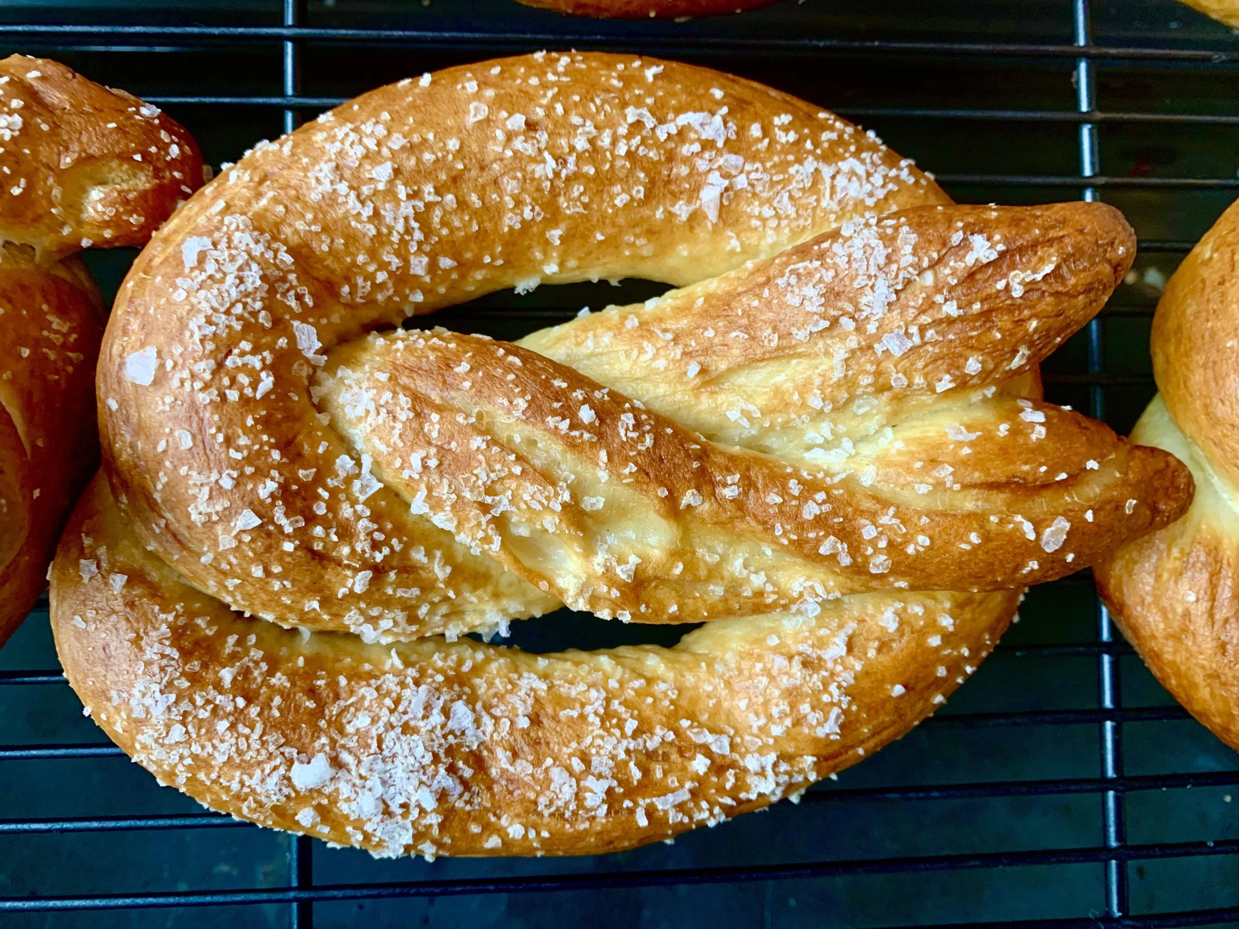 Salted German Soft Pretzels (6)