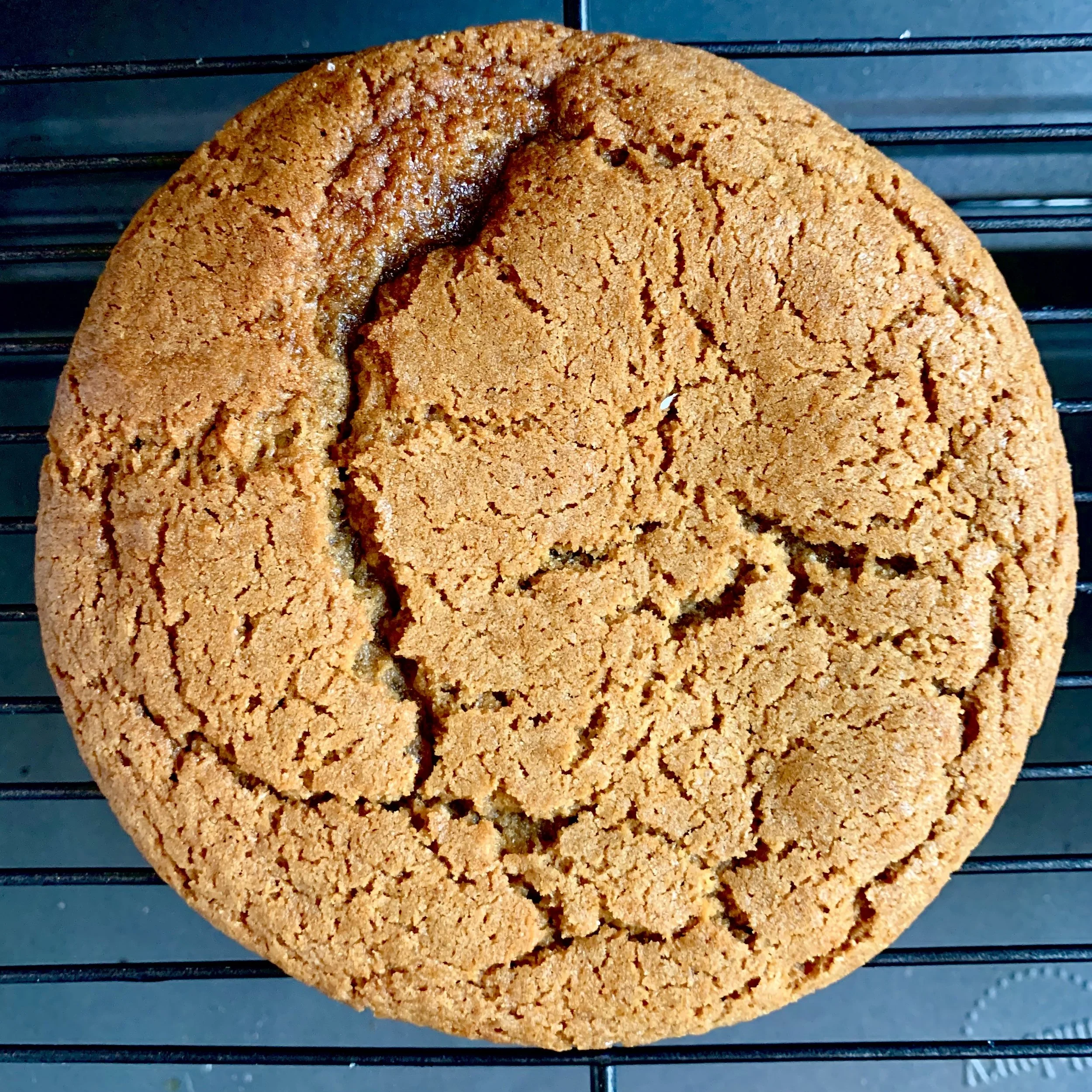 Ginger-Molasses Cookies (6)