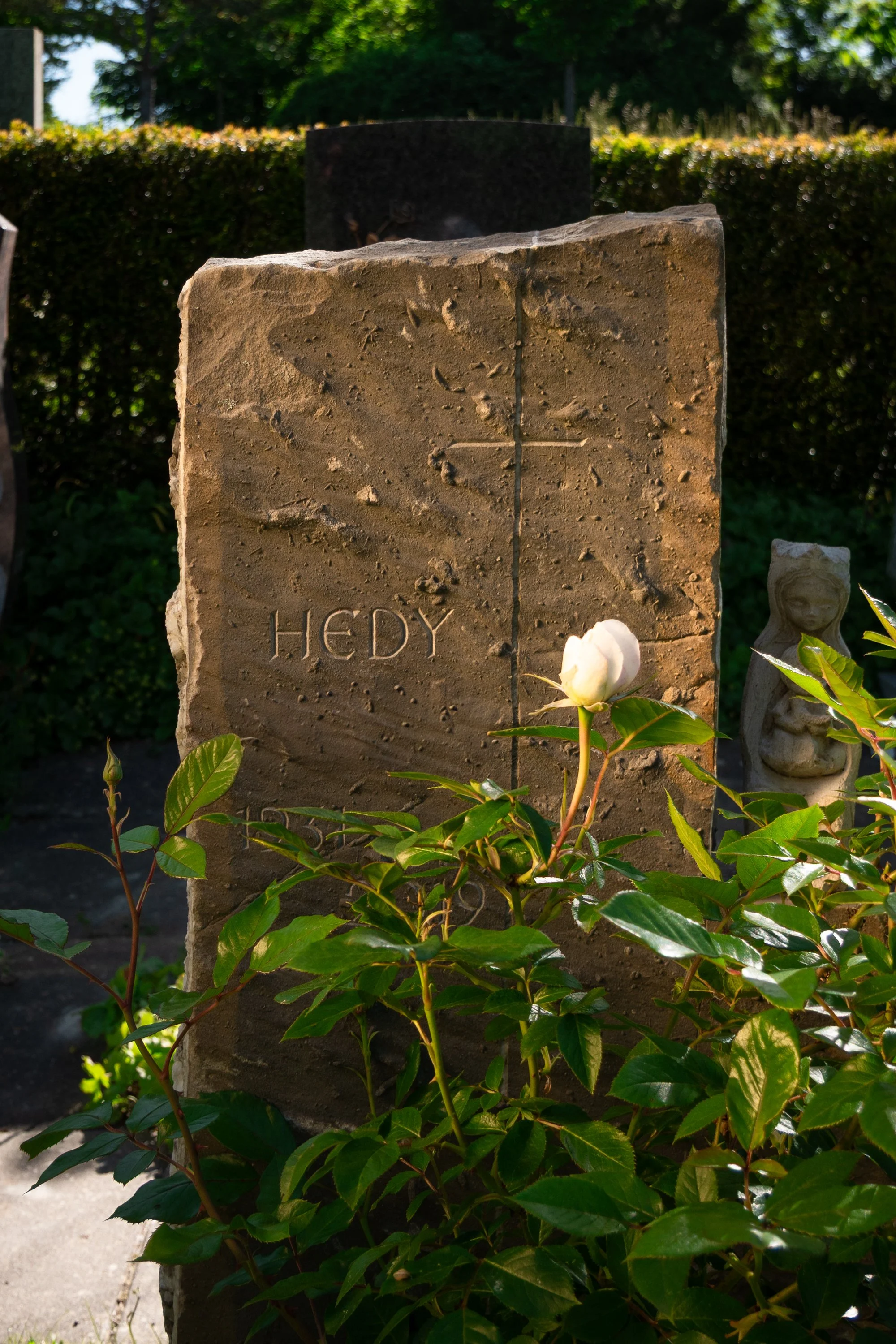 Tombeau avec la gravure « HEDY » dans un cimetière, entouré de verdure et de fleurs.