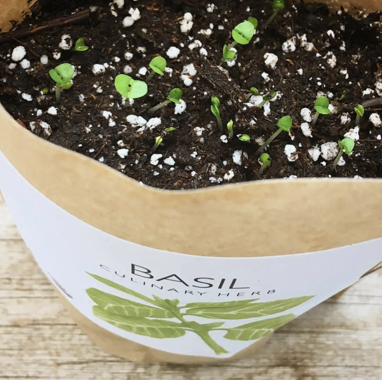 Screenshot 2026-03-07 at 9.51.22 AM.png