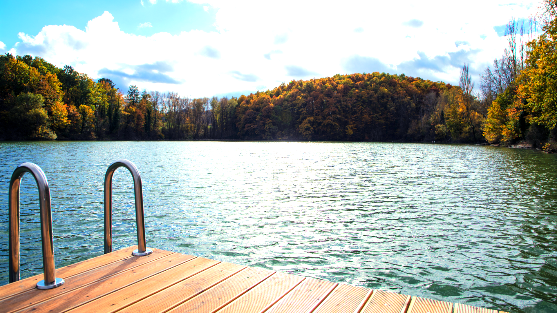 Swim Dock.PNG