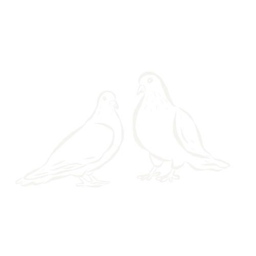 Black and white line drawing of two pigeons standing and facing each other.