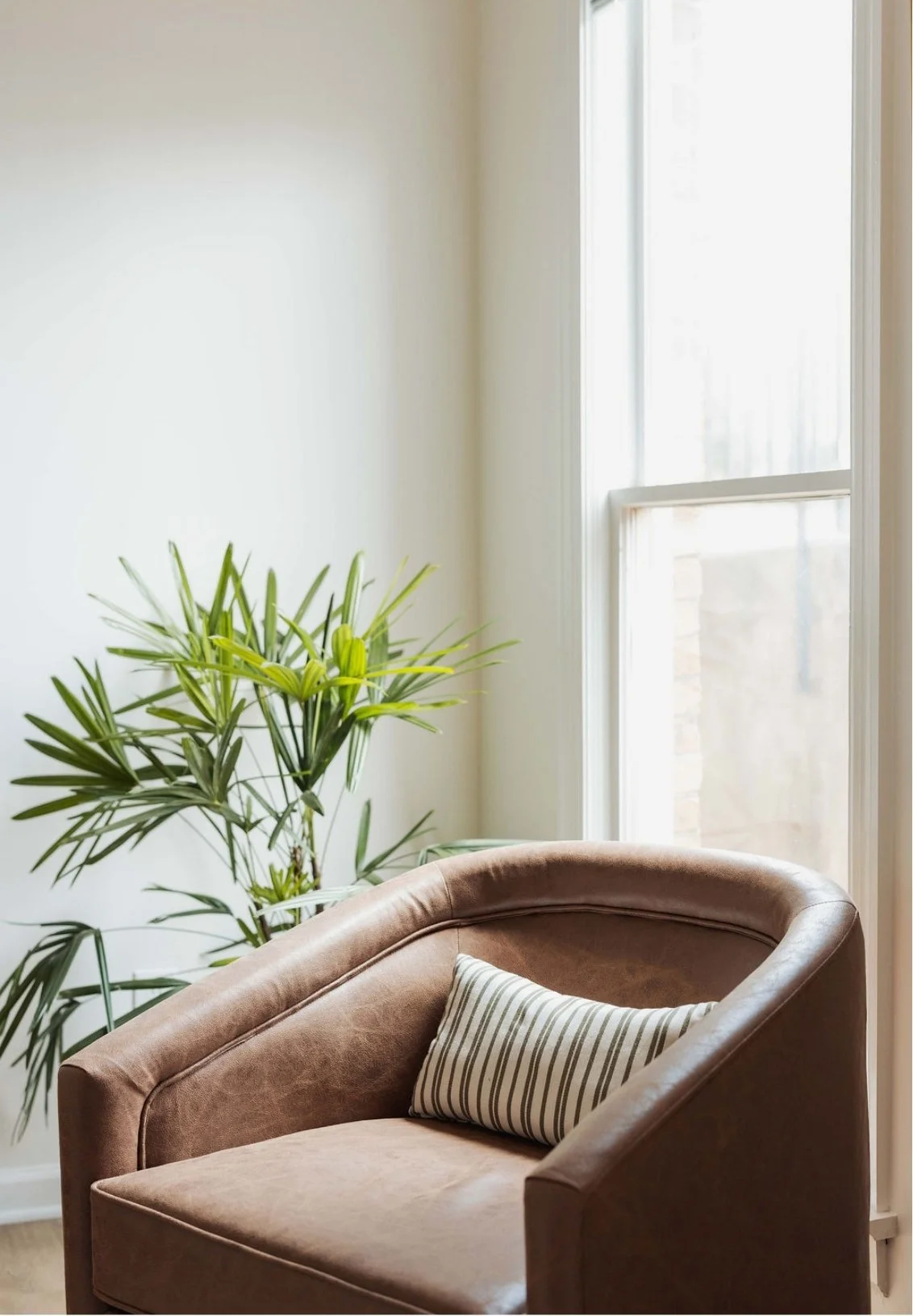 A cozy therapy office with a brown armchair, a striped pillow, a large green houseplant, and a window letting in natural light.