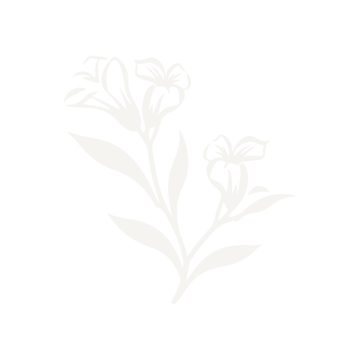 Silhouette of a flowering plant with two blooming flowers and multiple leaves on a black background.