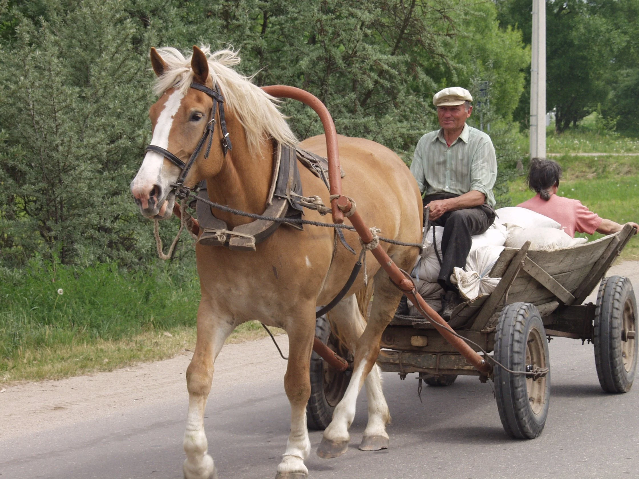 
Local transport hasn't changed much in Bagaslaviskis