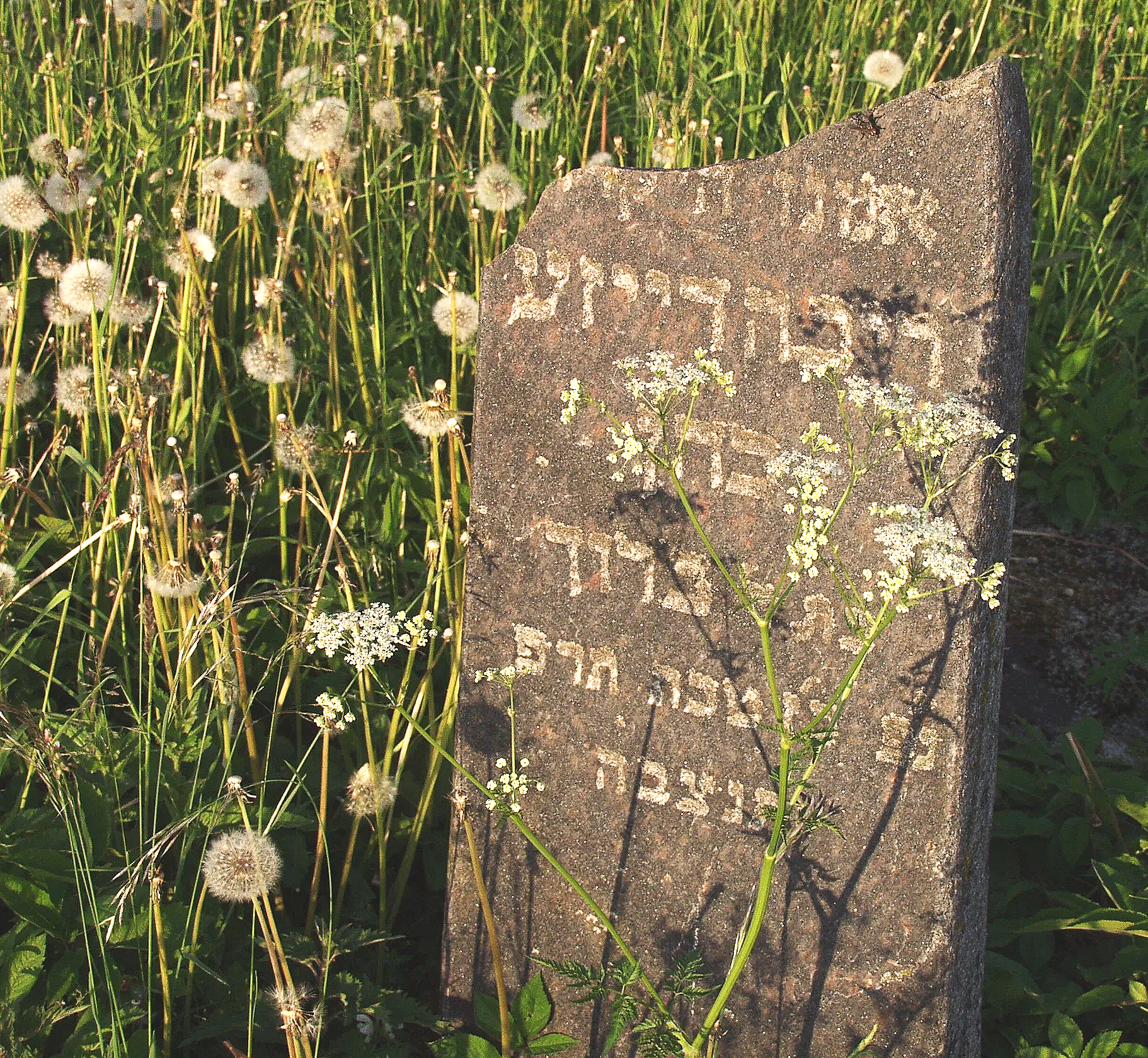 Jewish Cemetery - Keidan