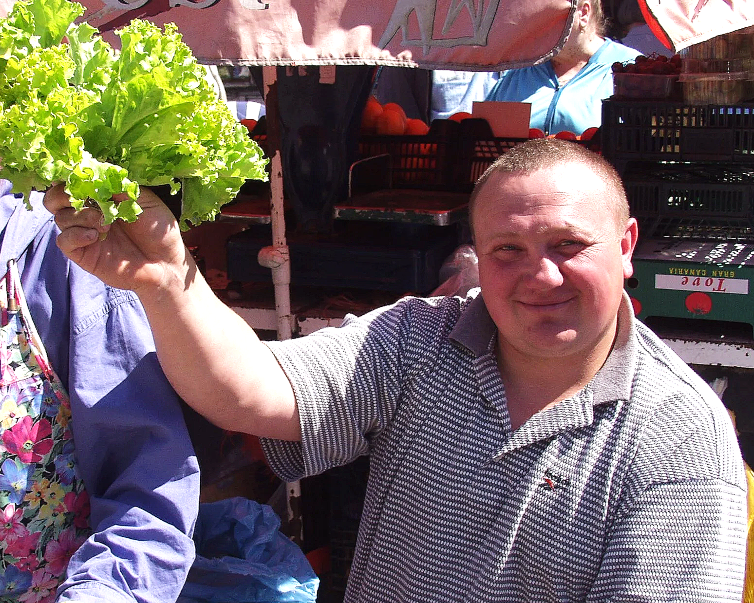 Lettuce Merchant , Vilnius