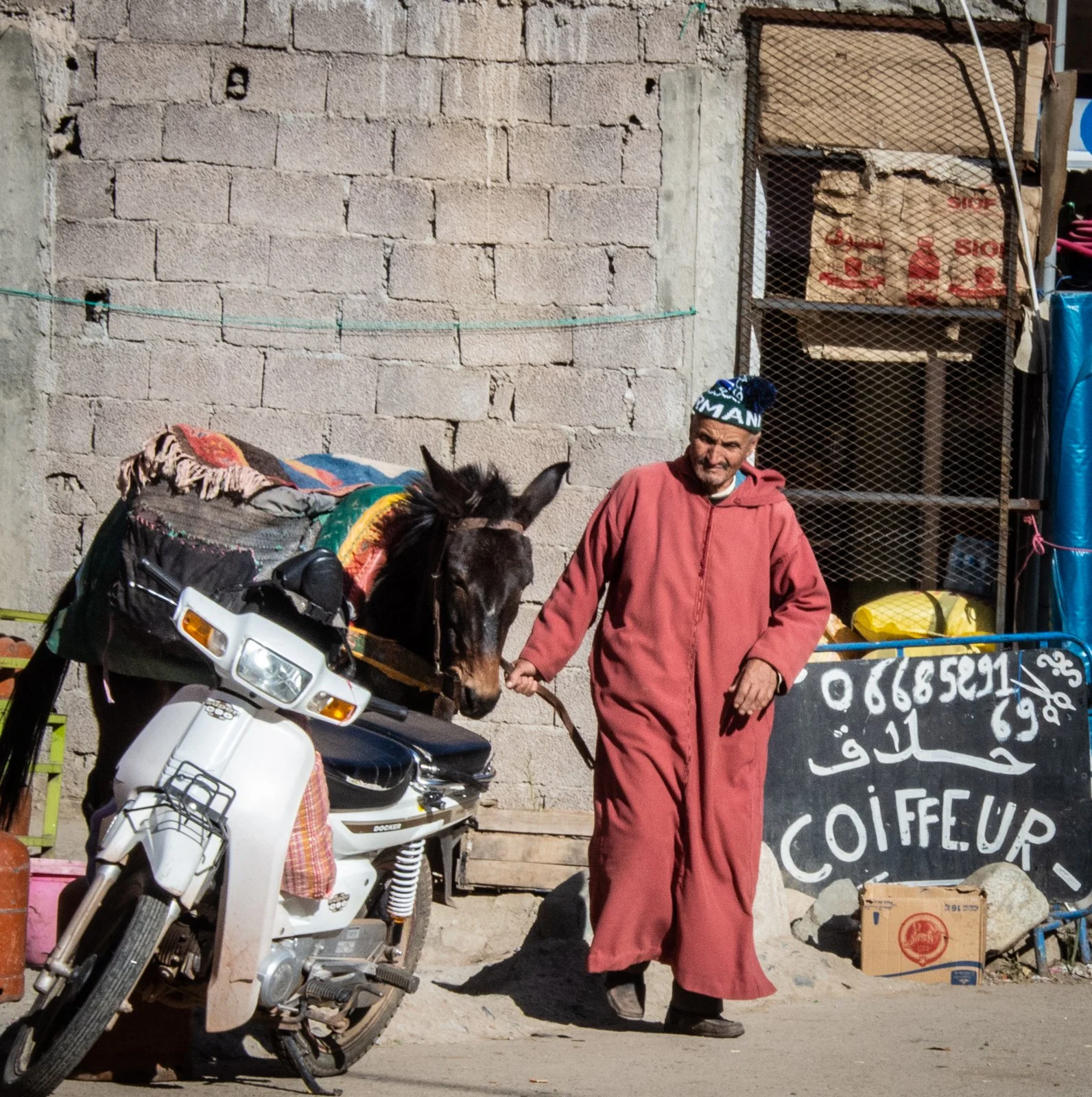 DSC_5505.jpg