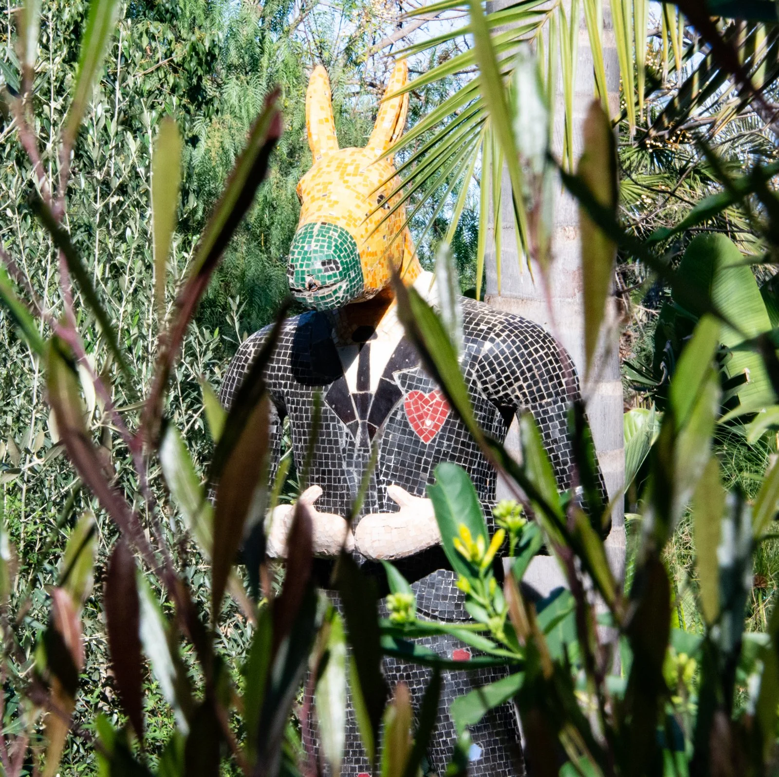 DSC_5480.jpg
