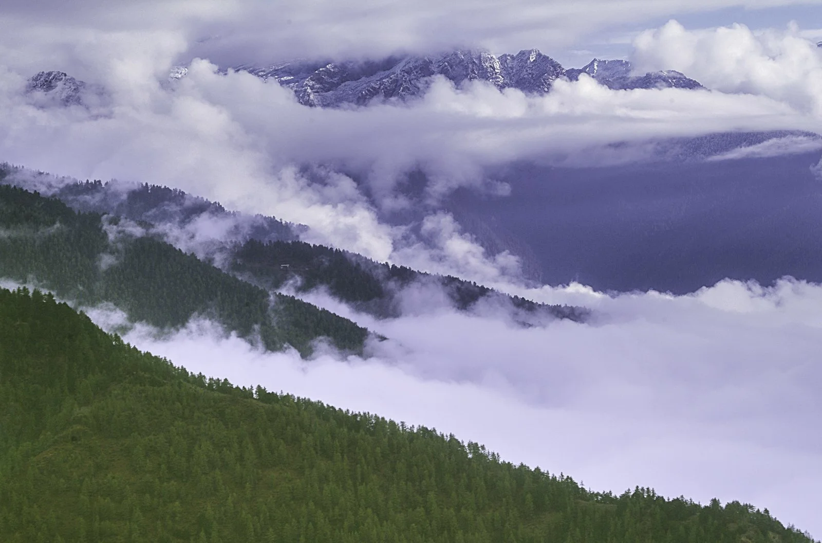 Himalaya Foothills