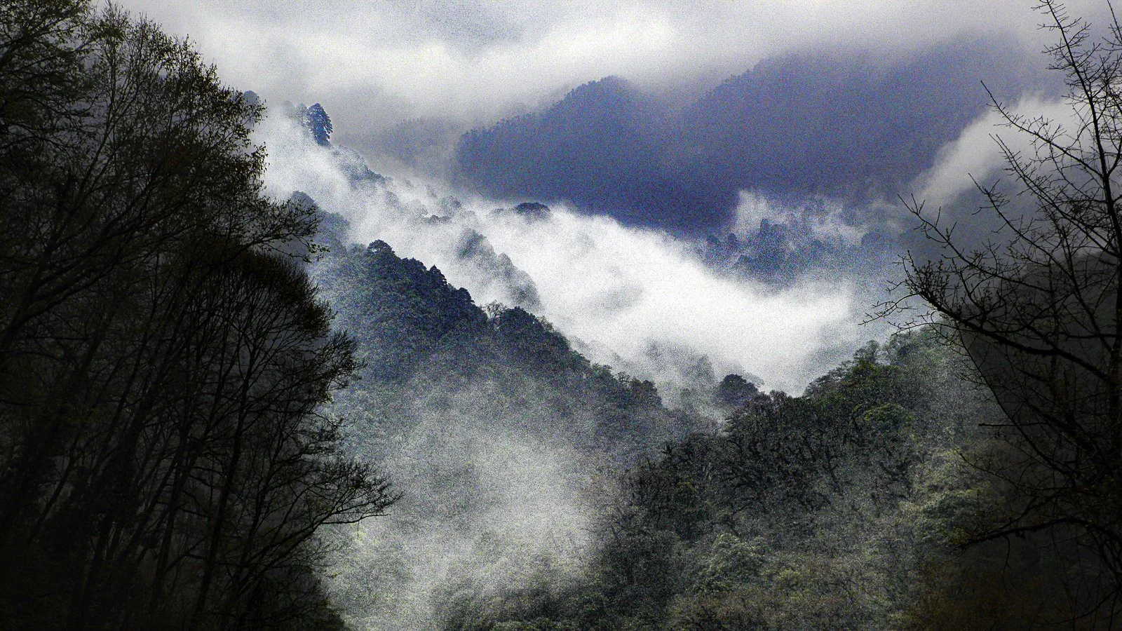 Himalaya Foothills