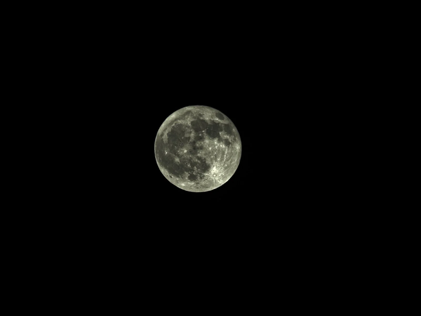 DSCN0106.jpg