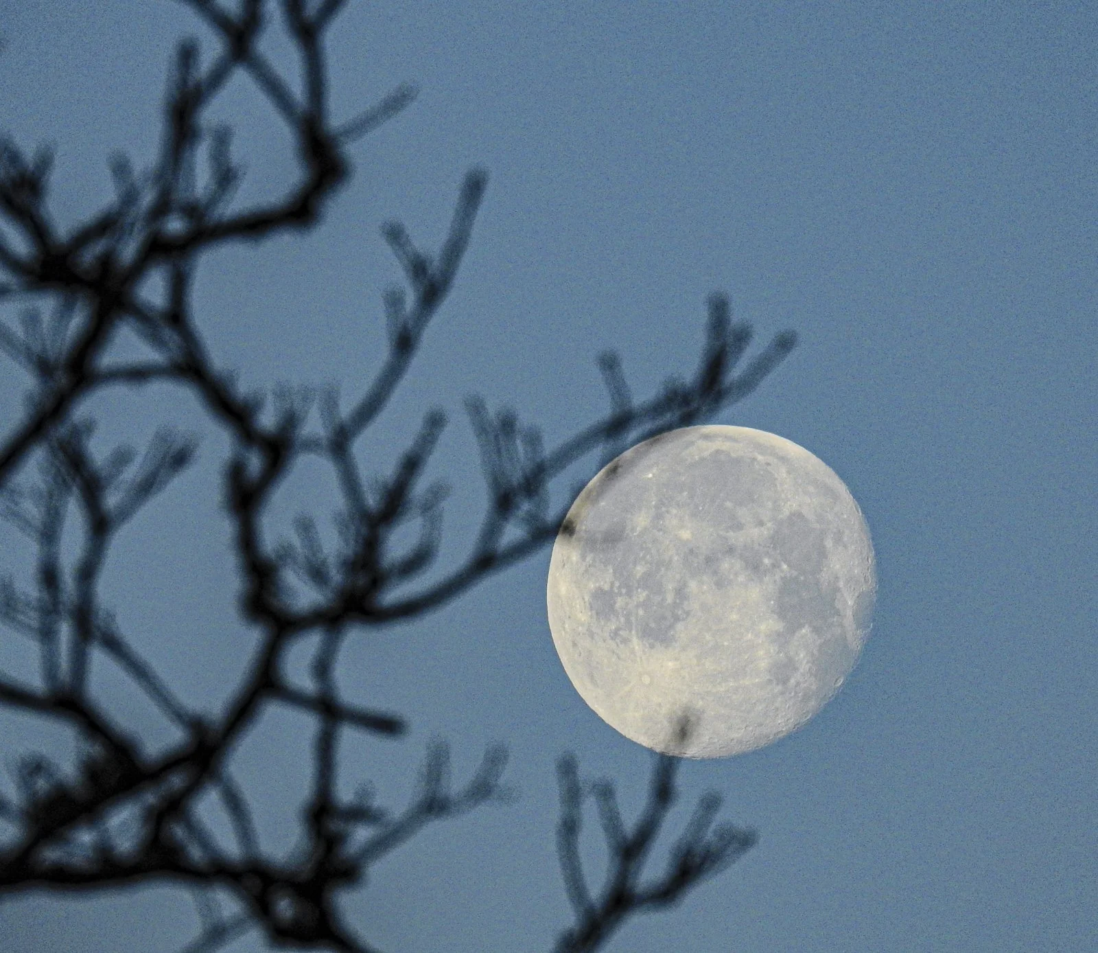DSCN1197.jpg