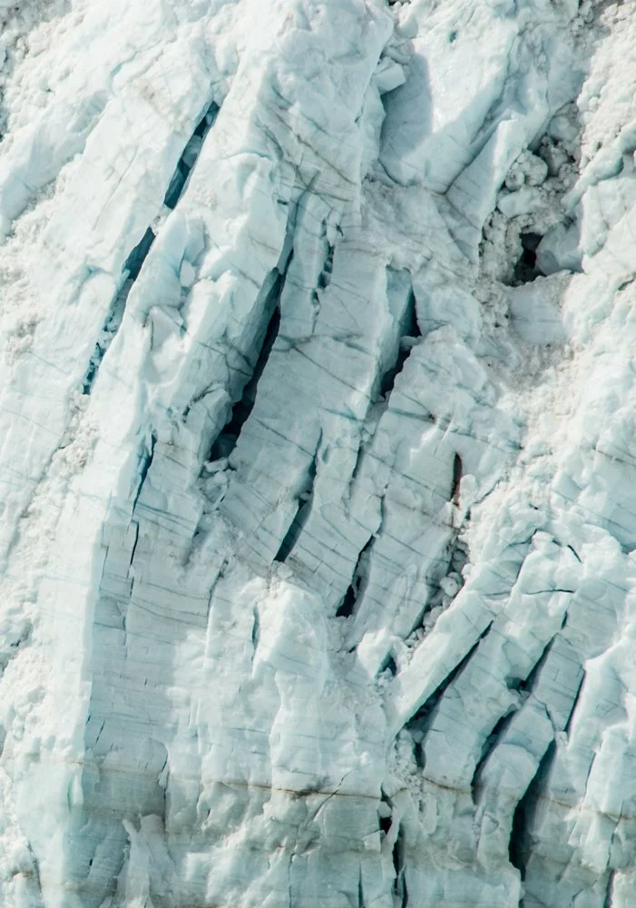 DSC_3310.jpg