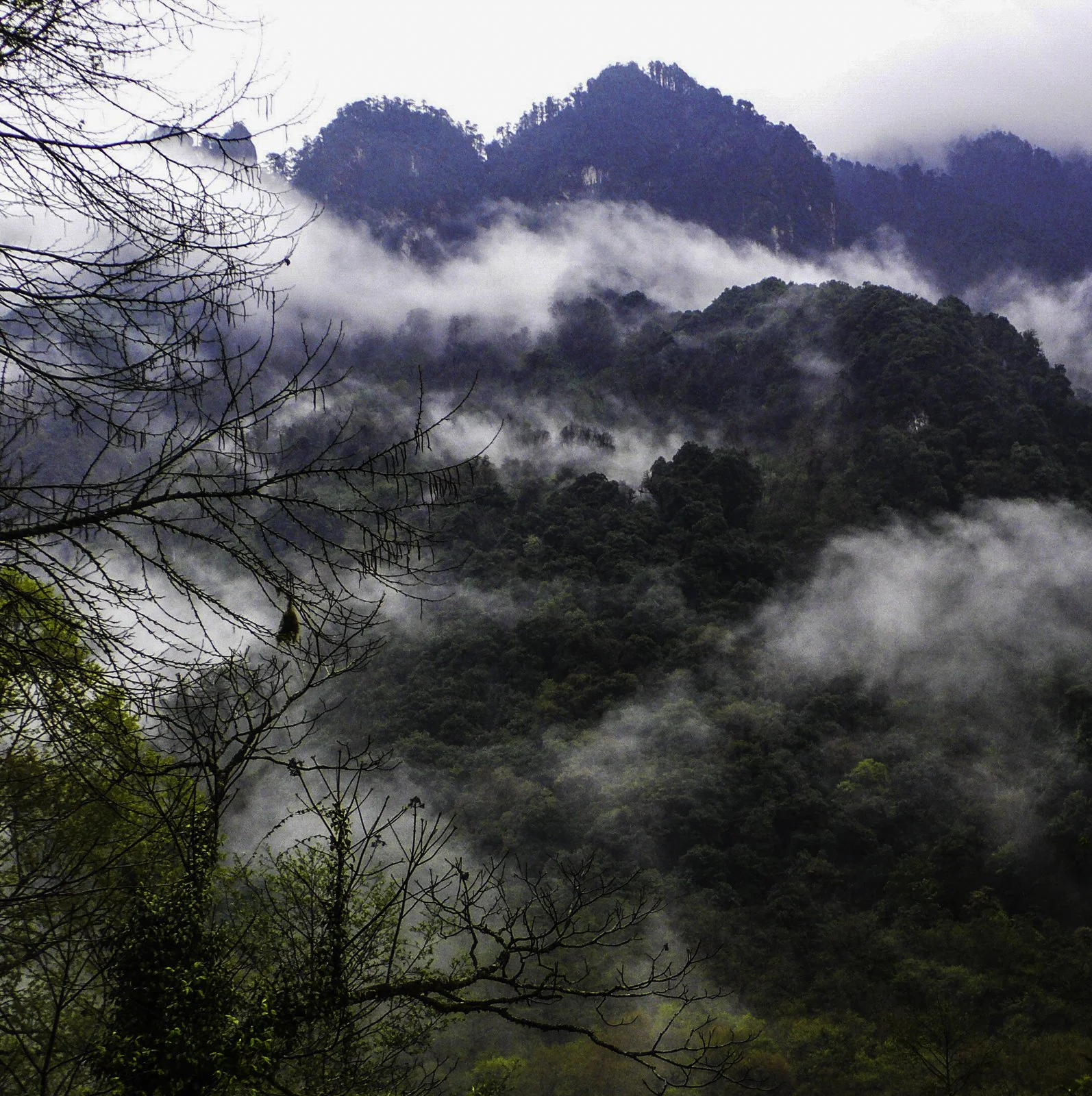 Himalaya Foothills