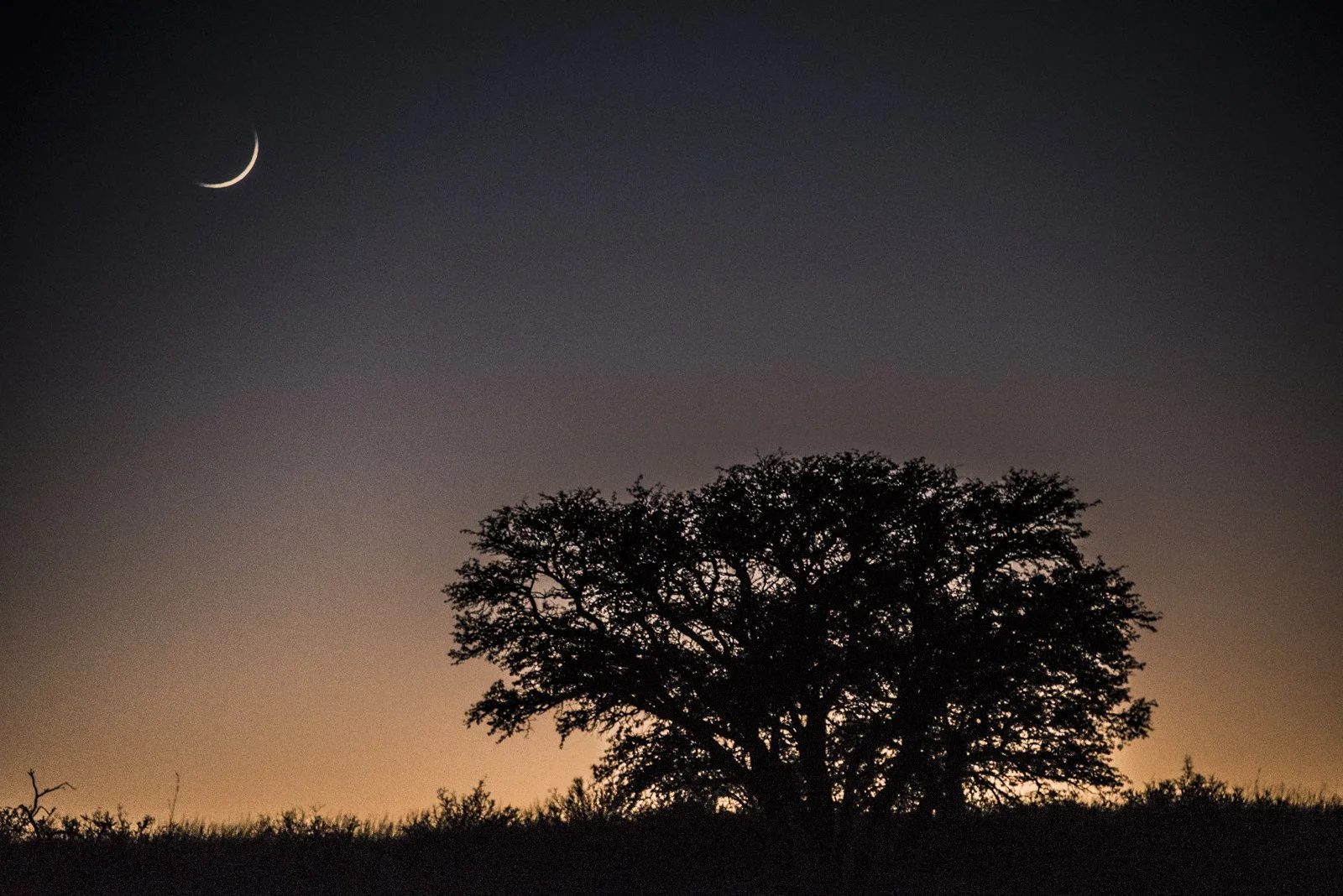 Moonscapes