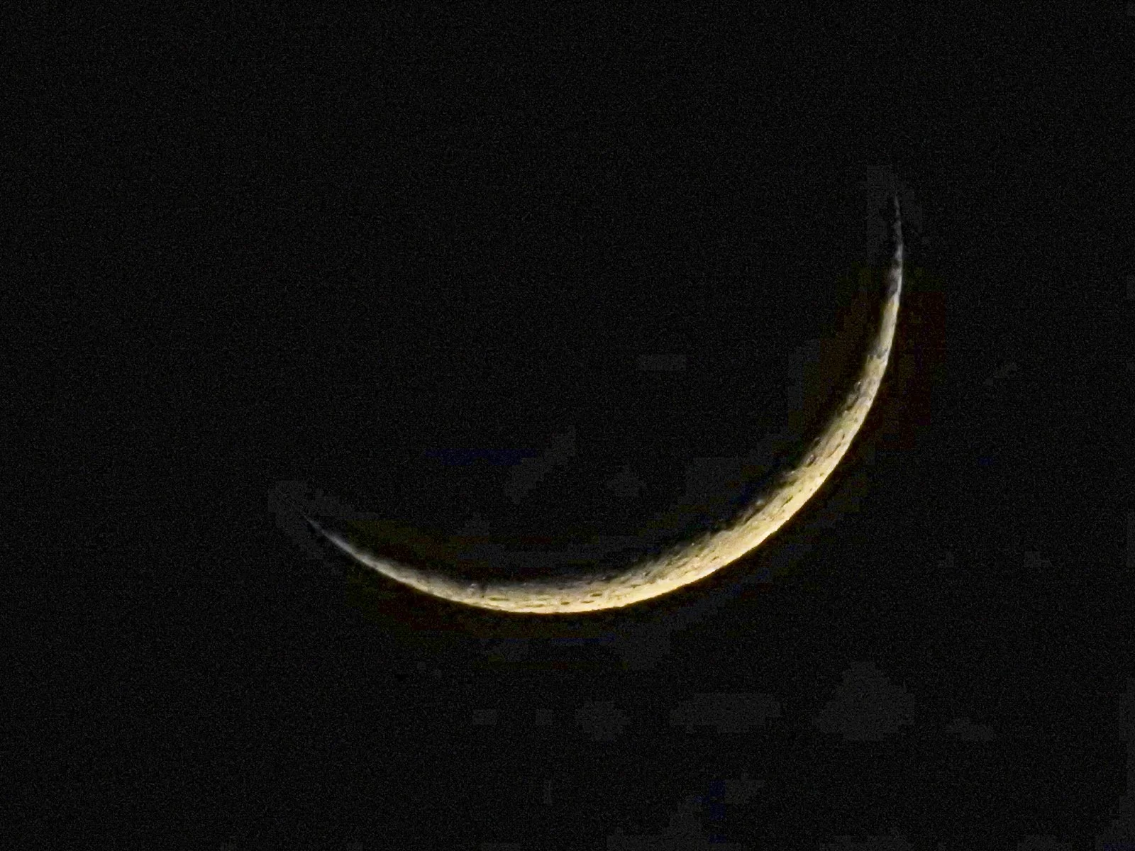 DSCN1838.jpg