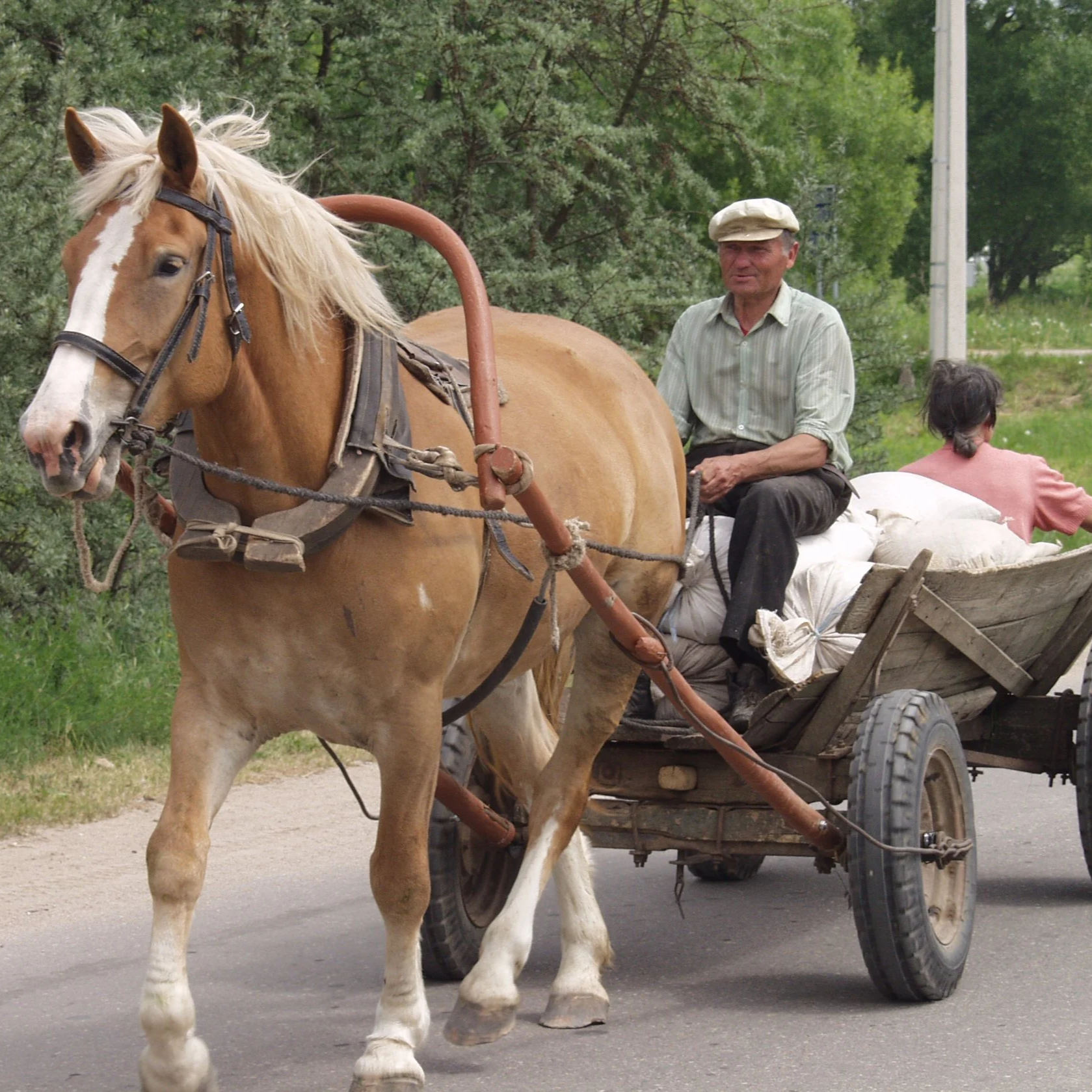 Lithuania Today