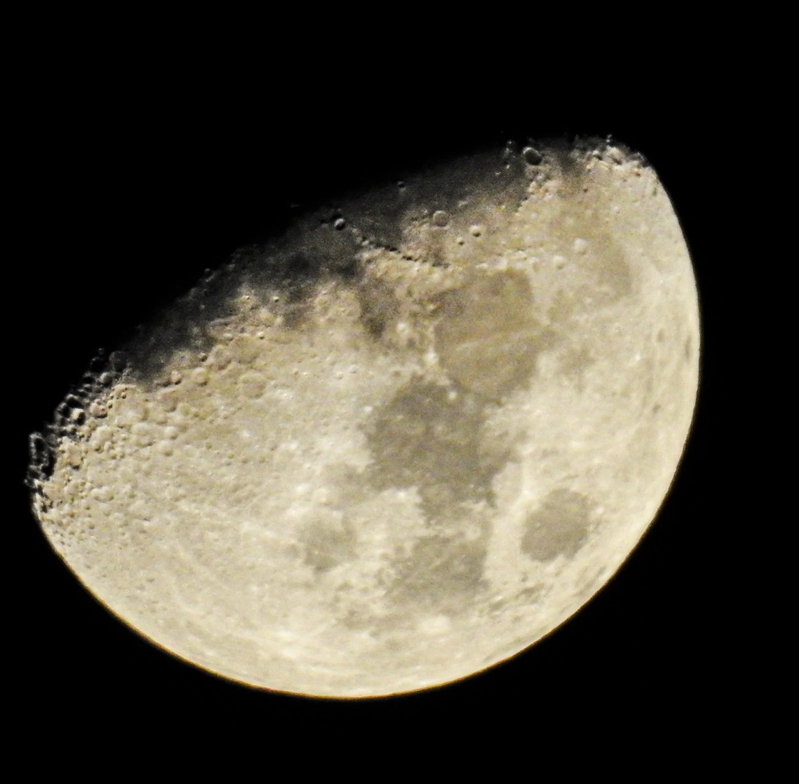 DSCN1618.jpg