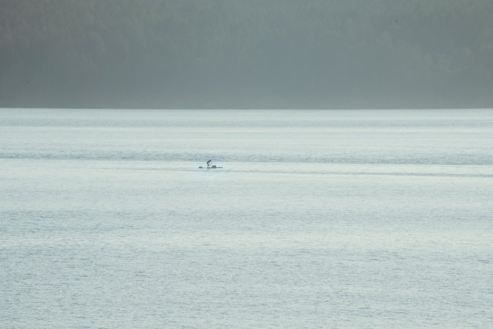 DSC_3097.jpg