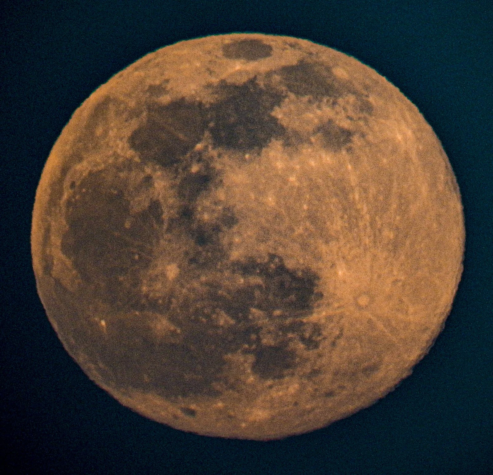DSCN1162.jpg