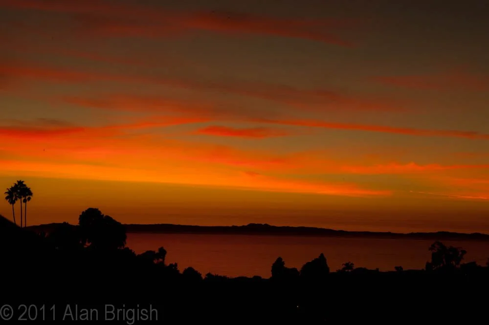 20110116-_D702908.jpg