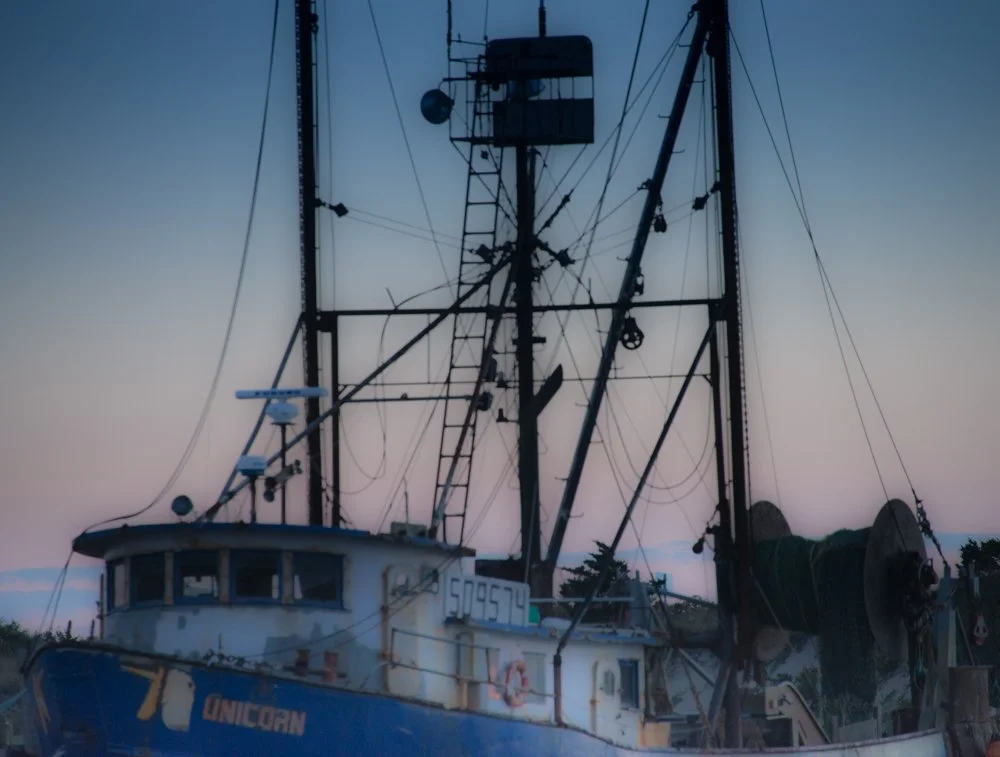 AL6_0088.jpg