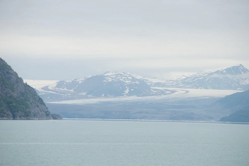 DSC_3255.jpg