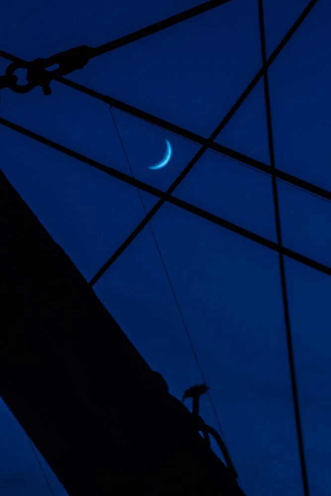 AL6_0142.jpg