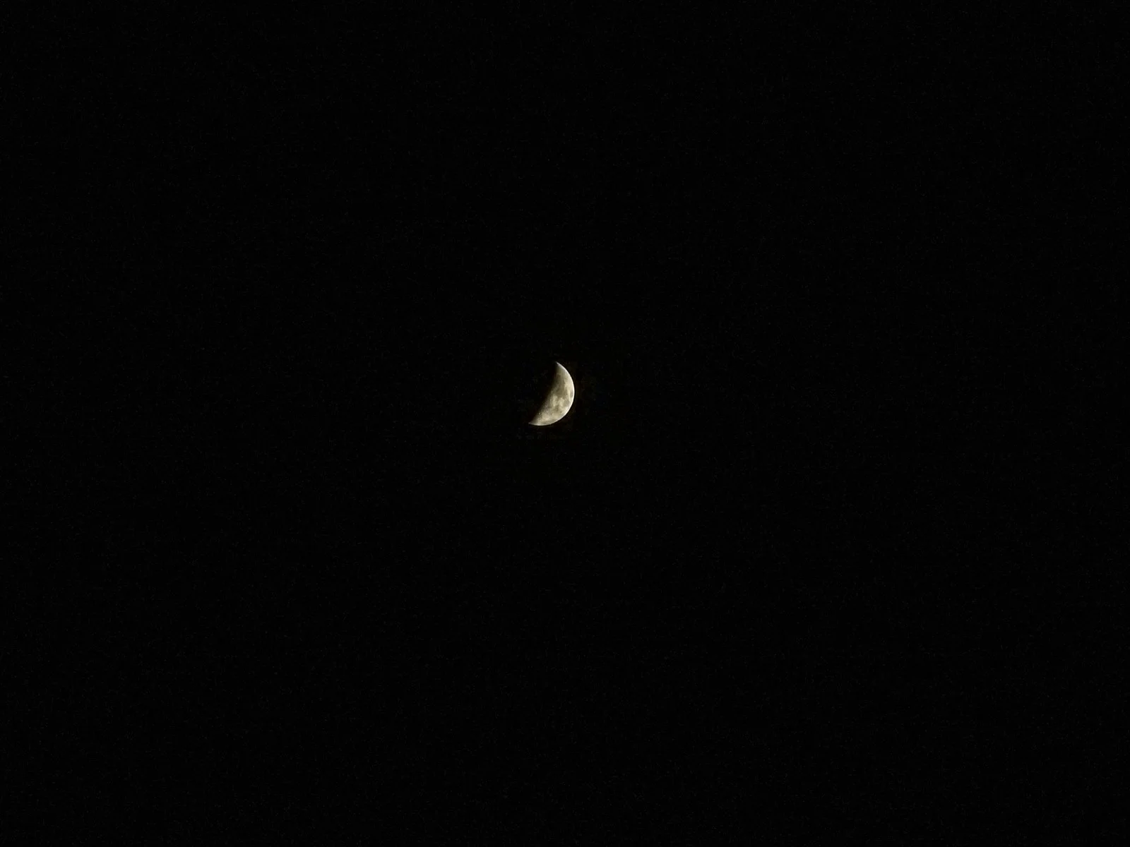DSCN1375.jpg