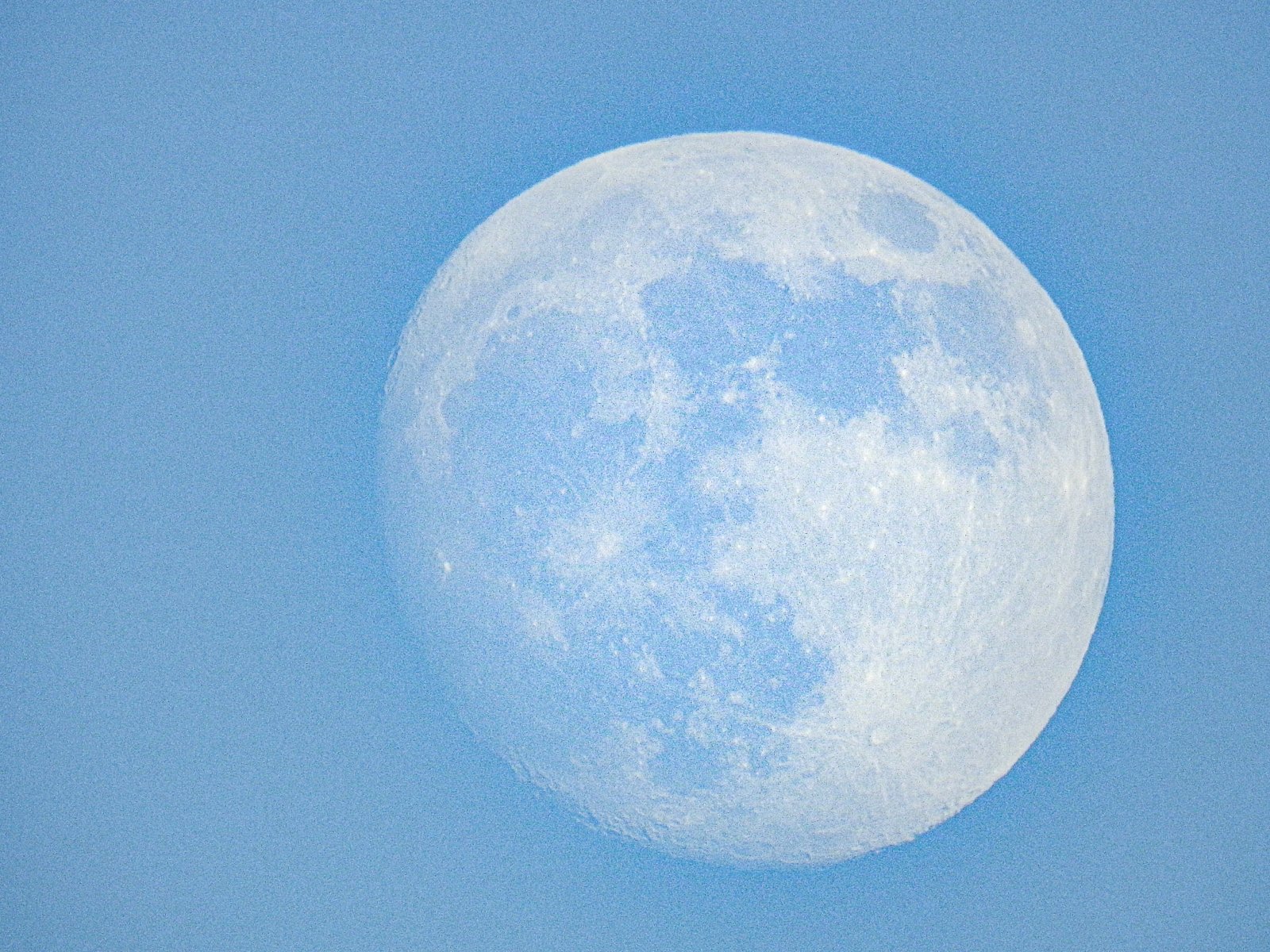 DSCN1100-2.jpg