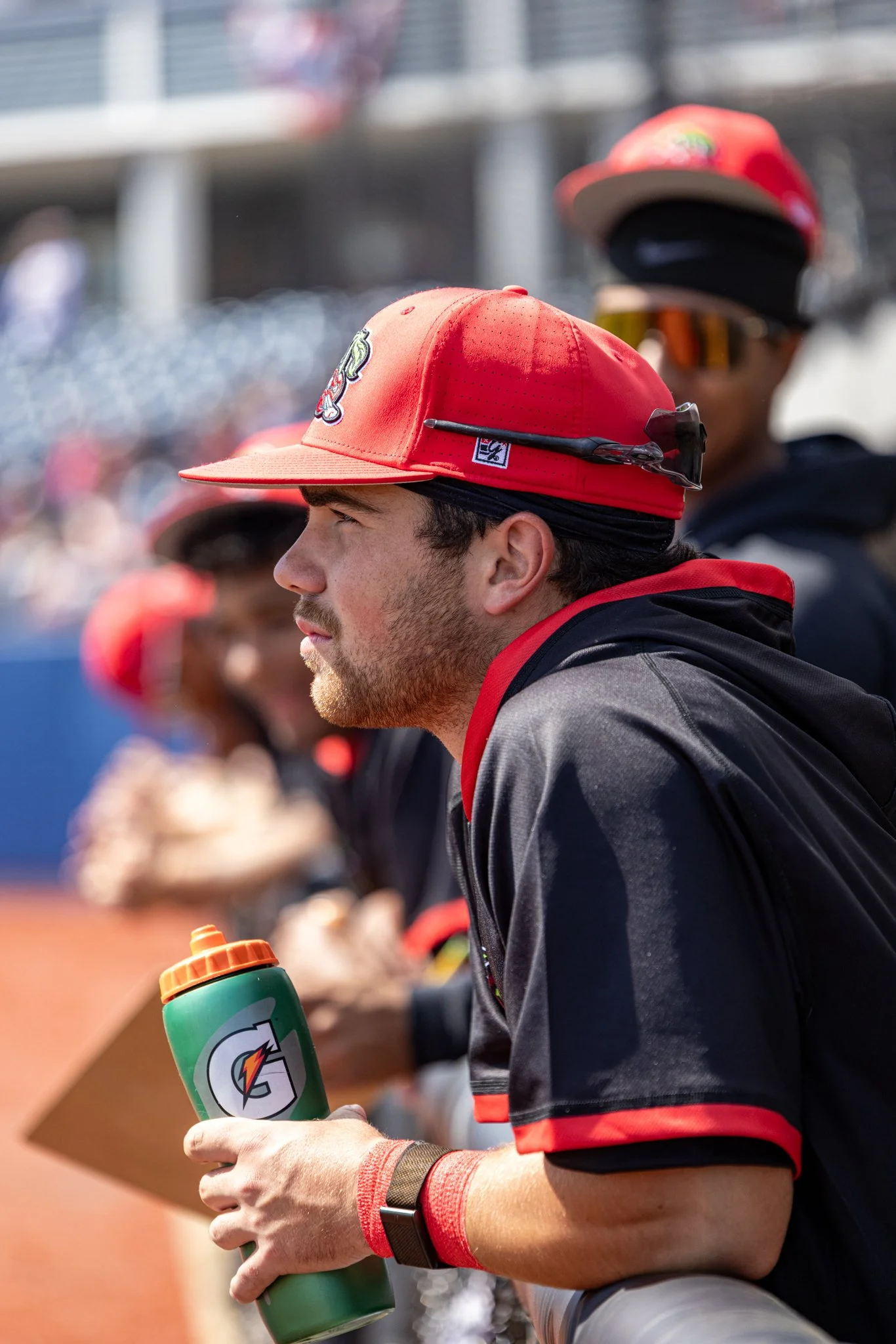 Robertson_ian_dugout close.jpg