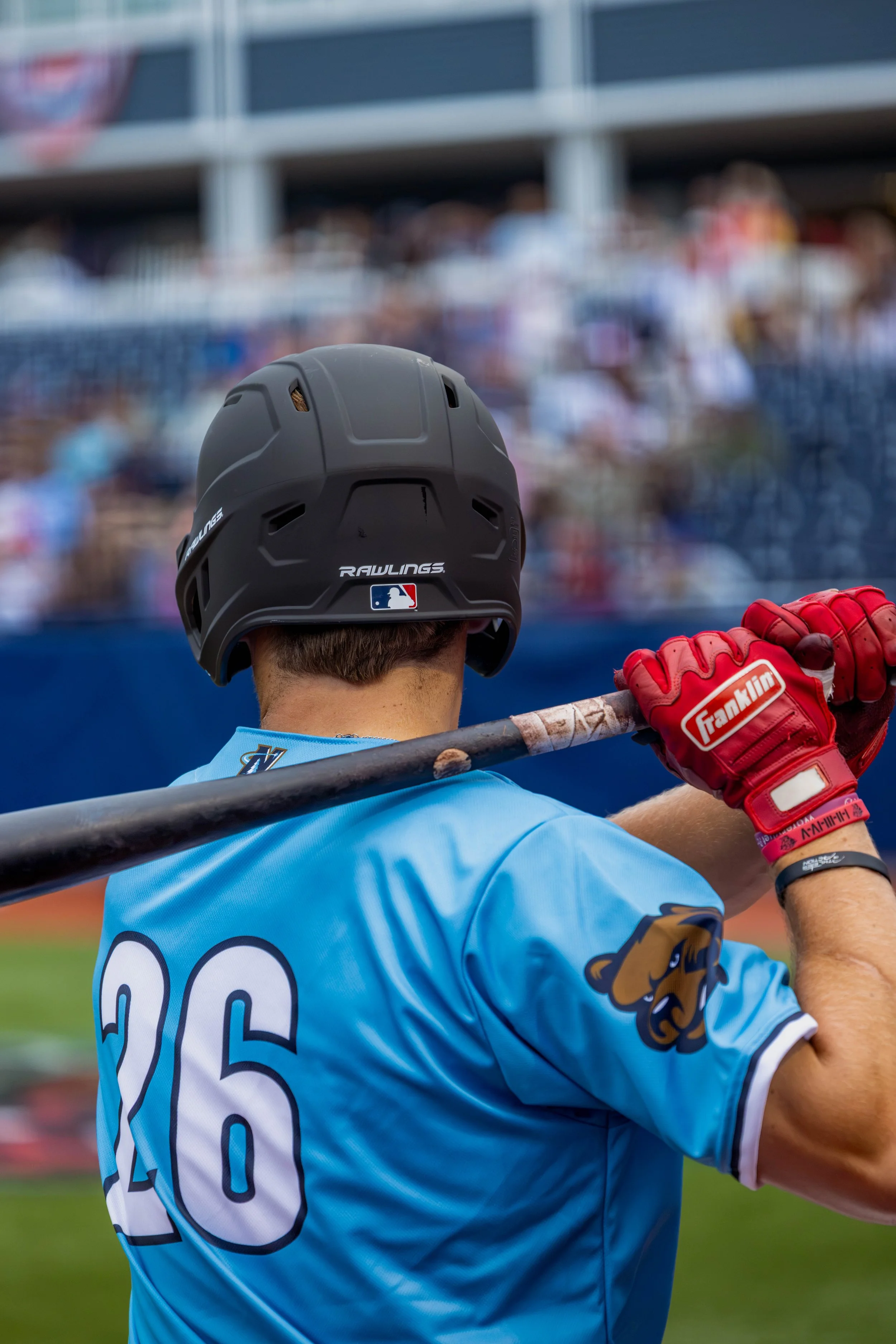 epple wyatt backshot at bat .jpg