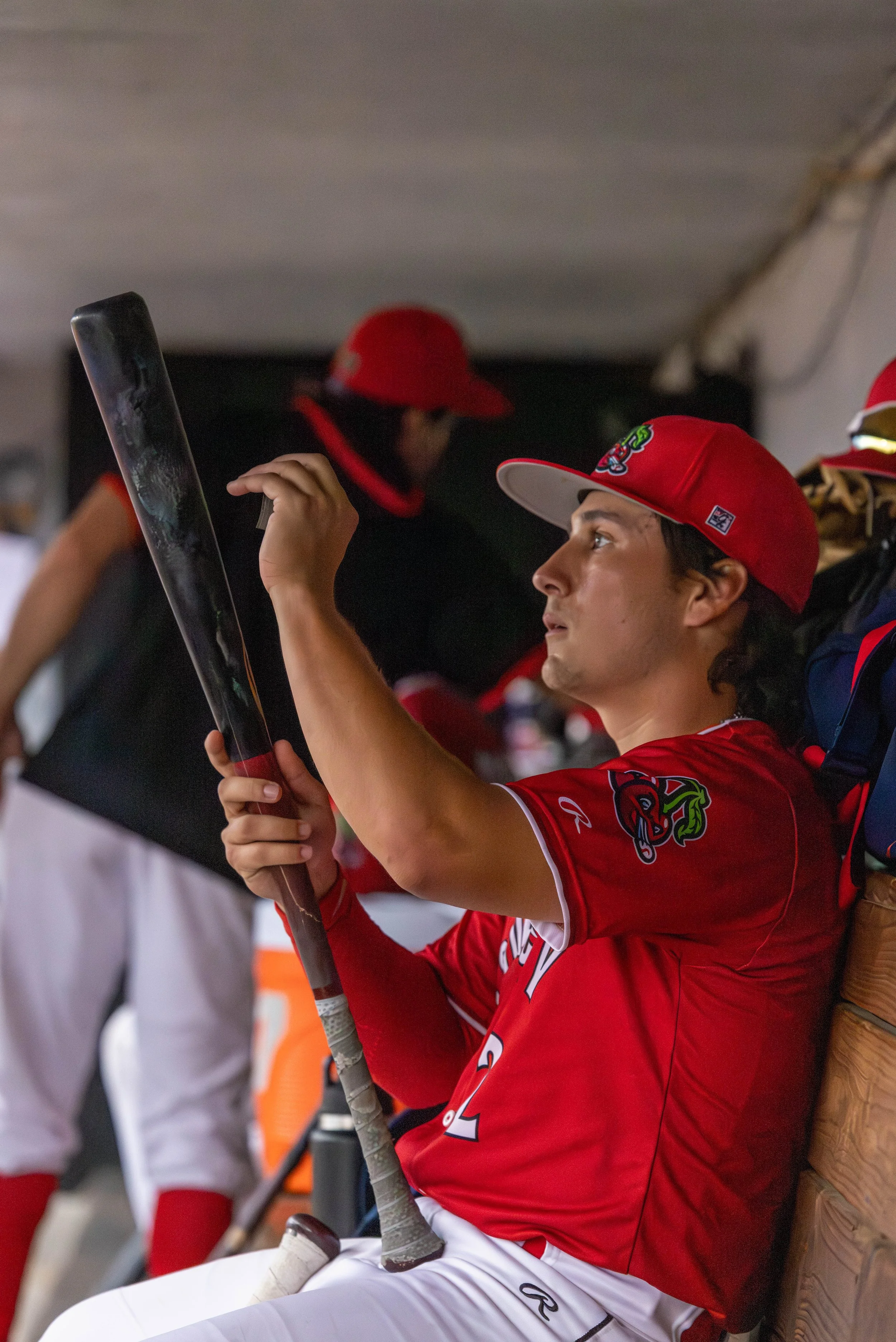 guerra ethan dugout bat .jpg