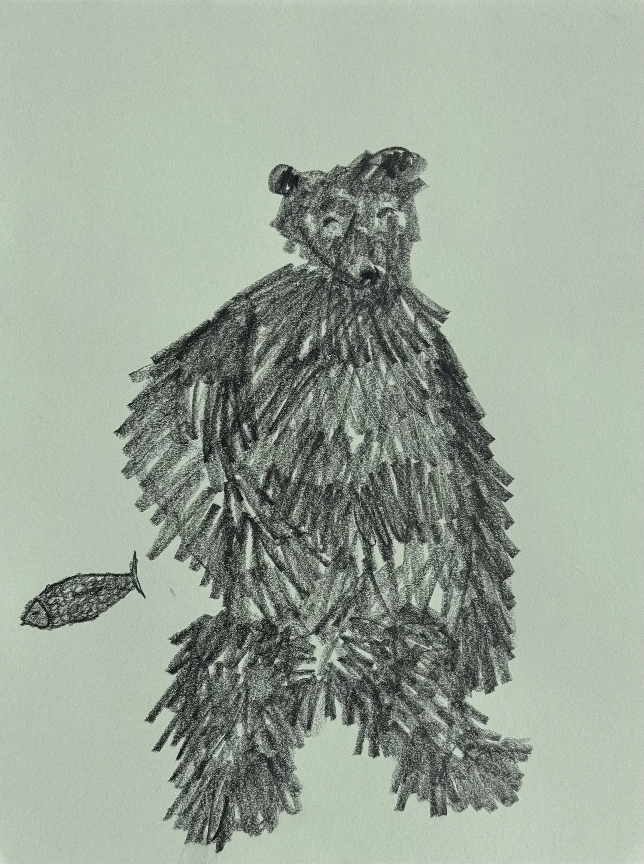 Bear and Fish, graphite on paper, 14x11 inches, 2026