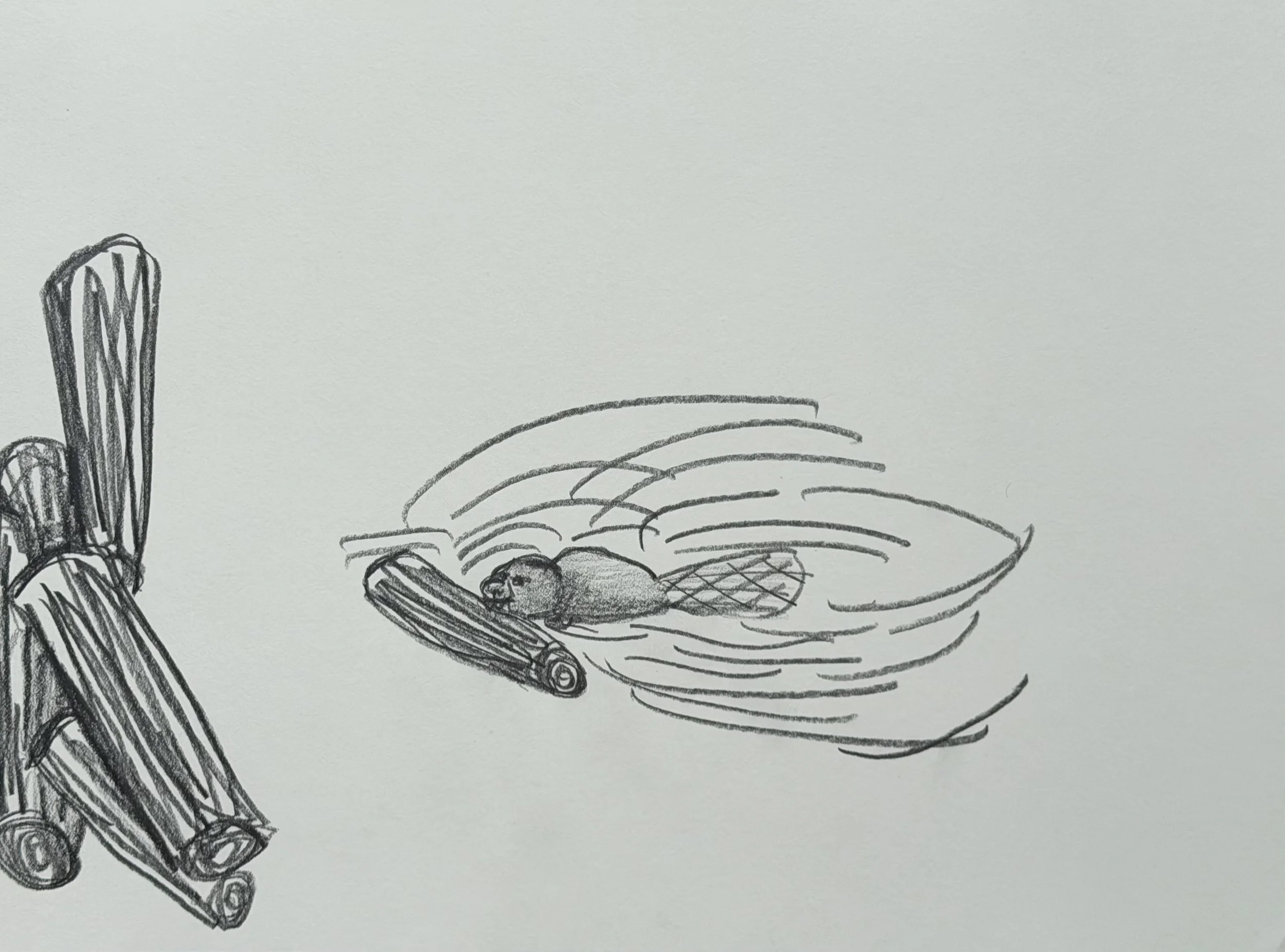 Beaver, graphite on paper, 9x12 inches, 2026