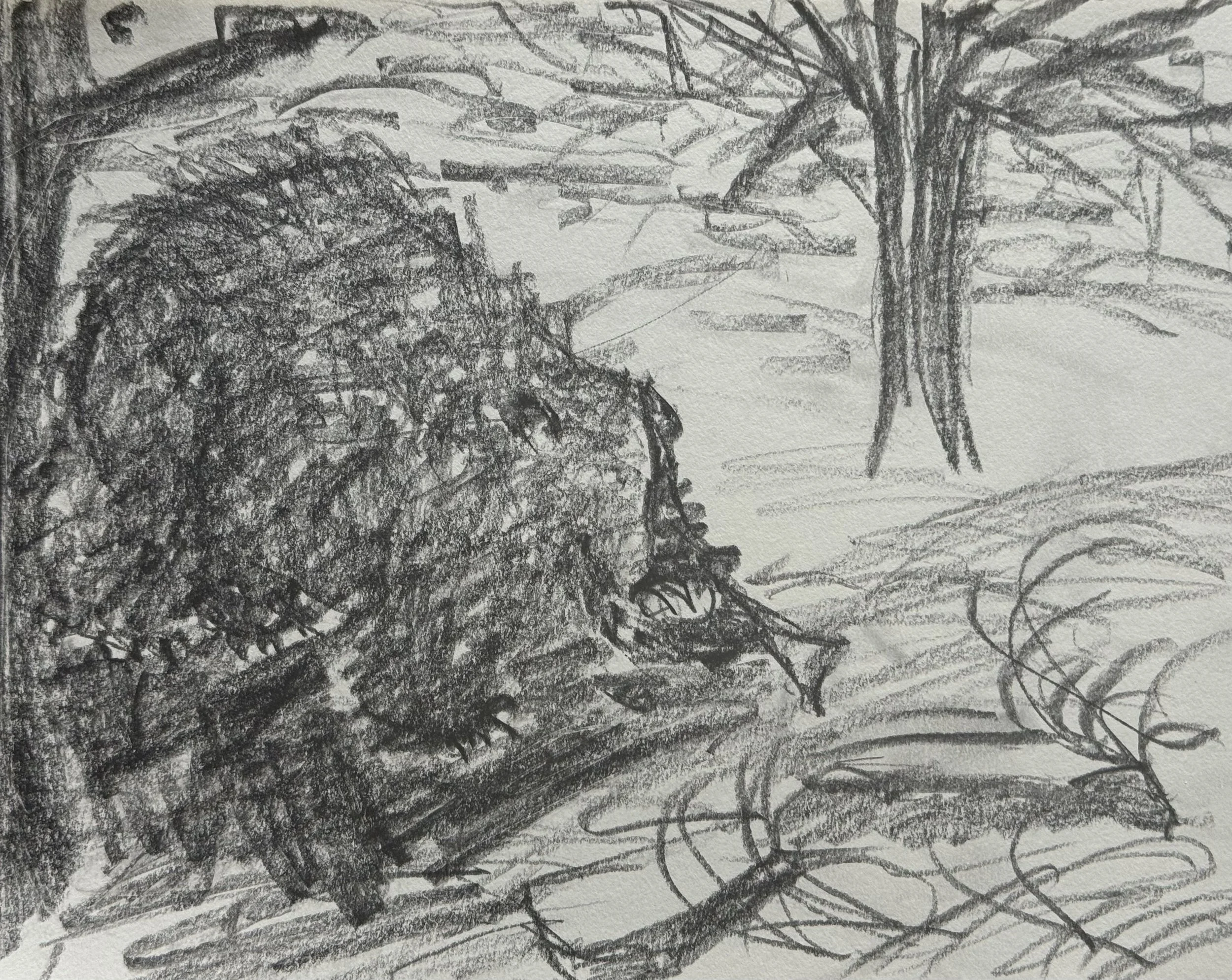 Bear eating by the River, 8x10 in. 2025, graphite on paper