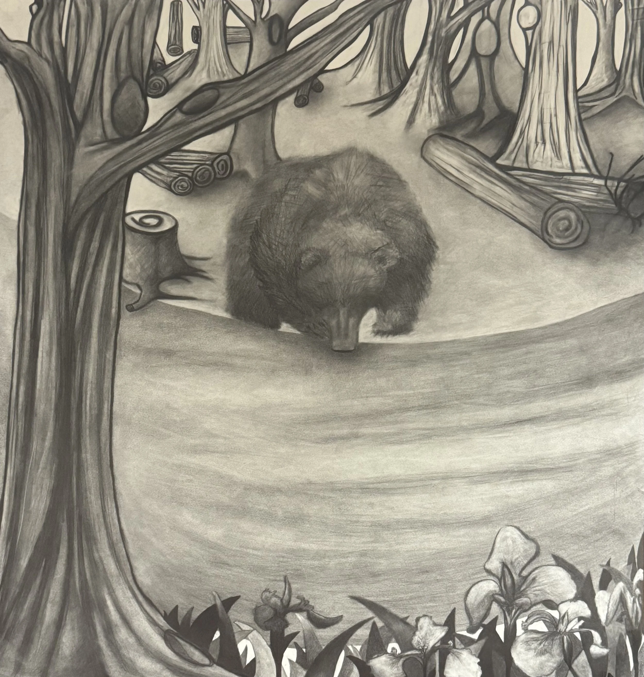 Eyes of the Forest, graphite on paper, 41x36 inches, 2025