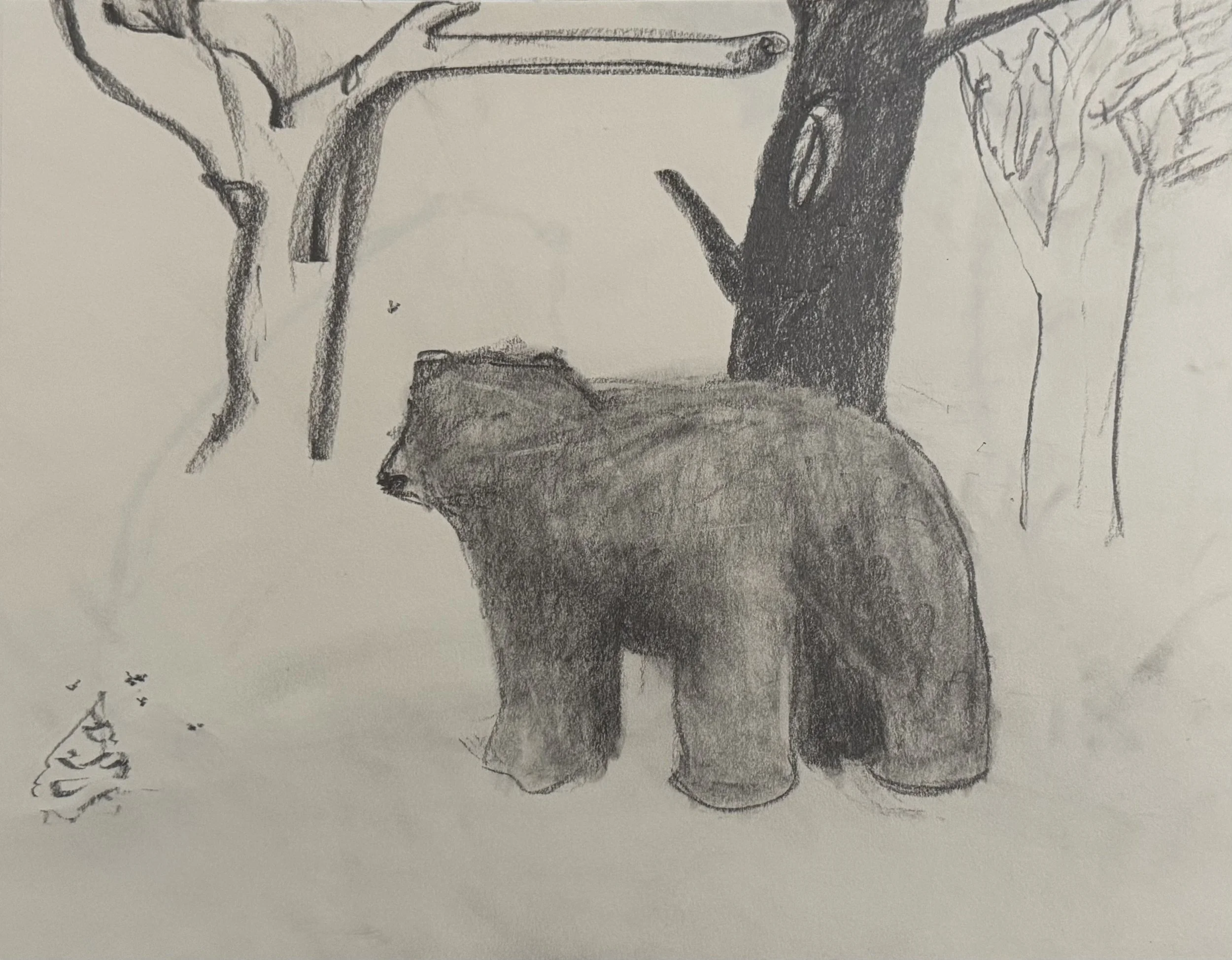 Bear with Beehive, 11x14 in. 2025, graphite on paper