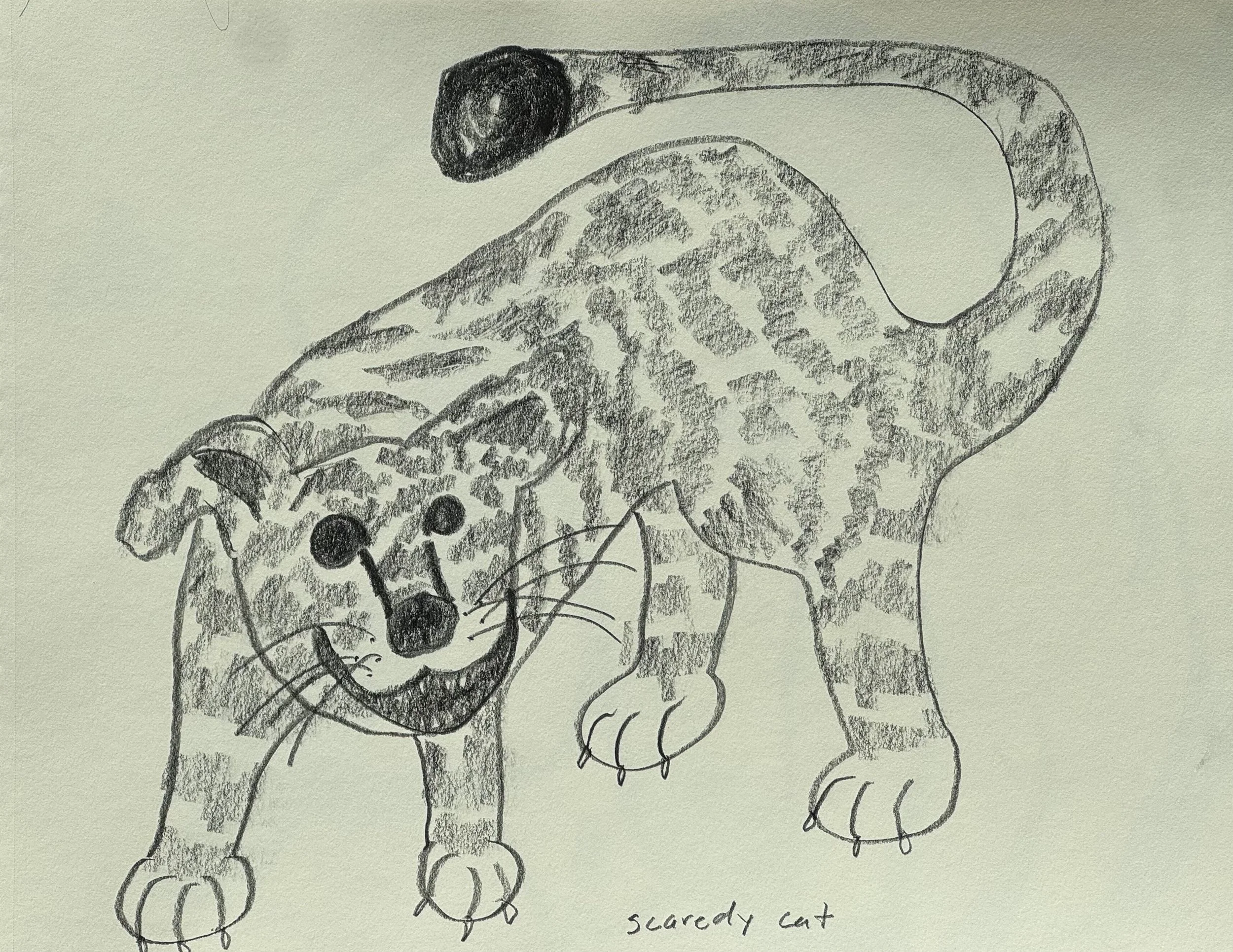 Scaredy Cat, graphite on paper, 11x14 inches, 2025