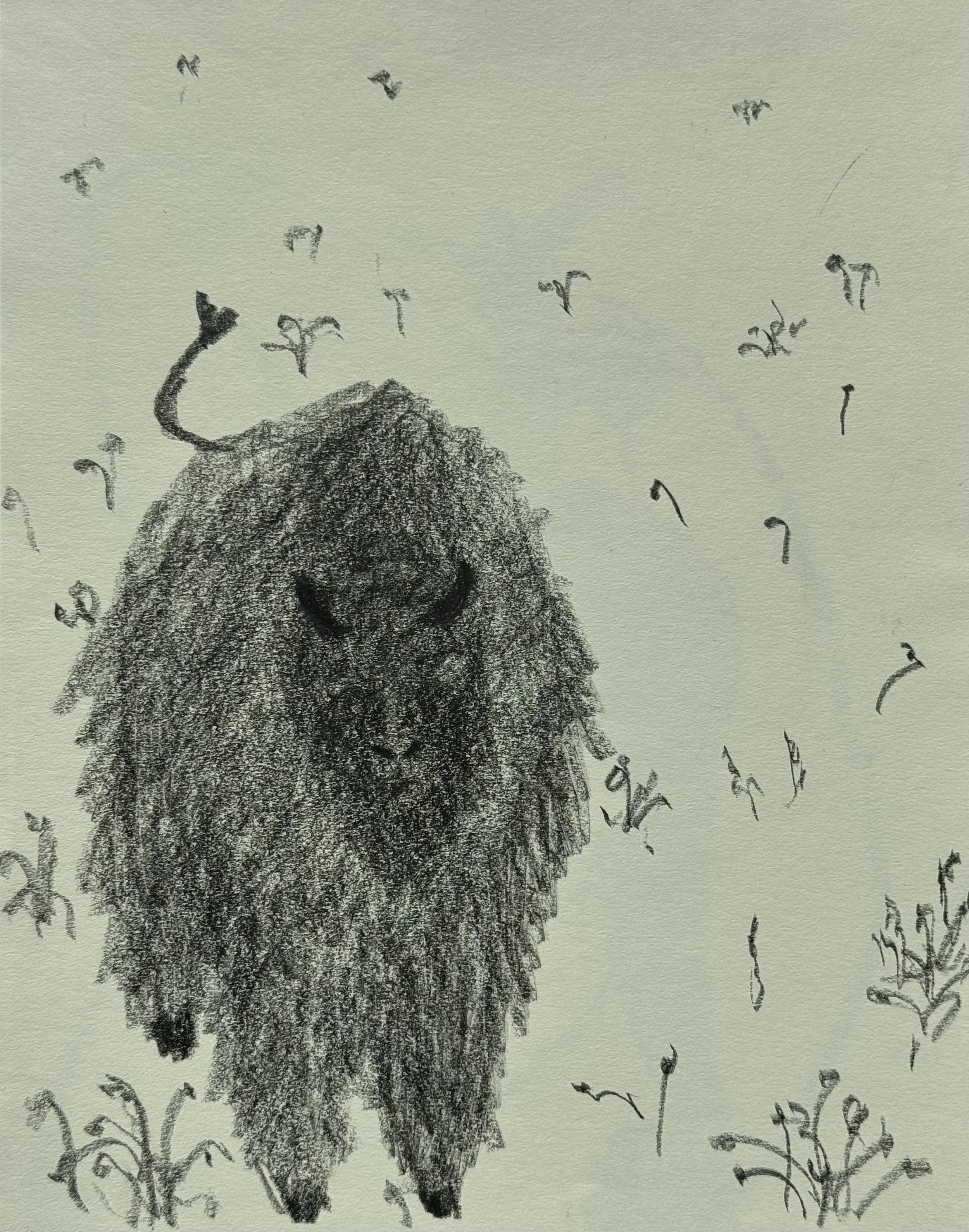 Lone Bison, graphite on paper, 14x11 inches, 2025