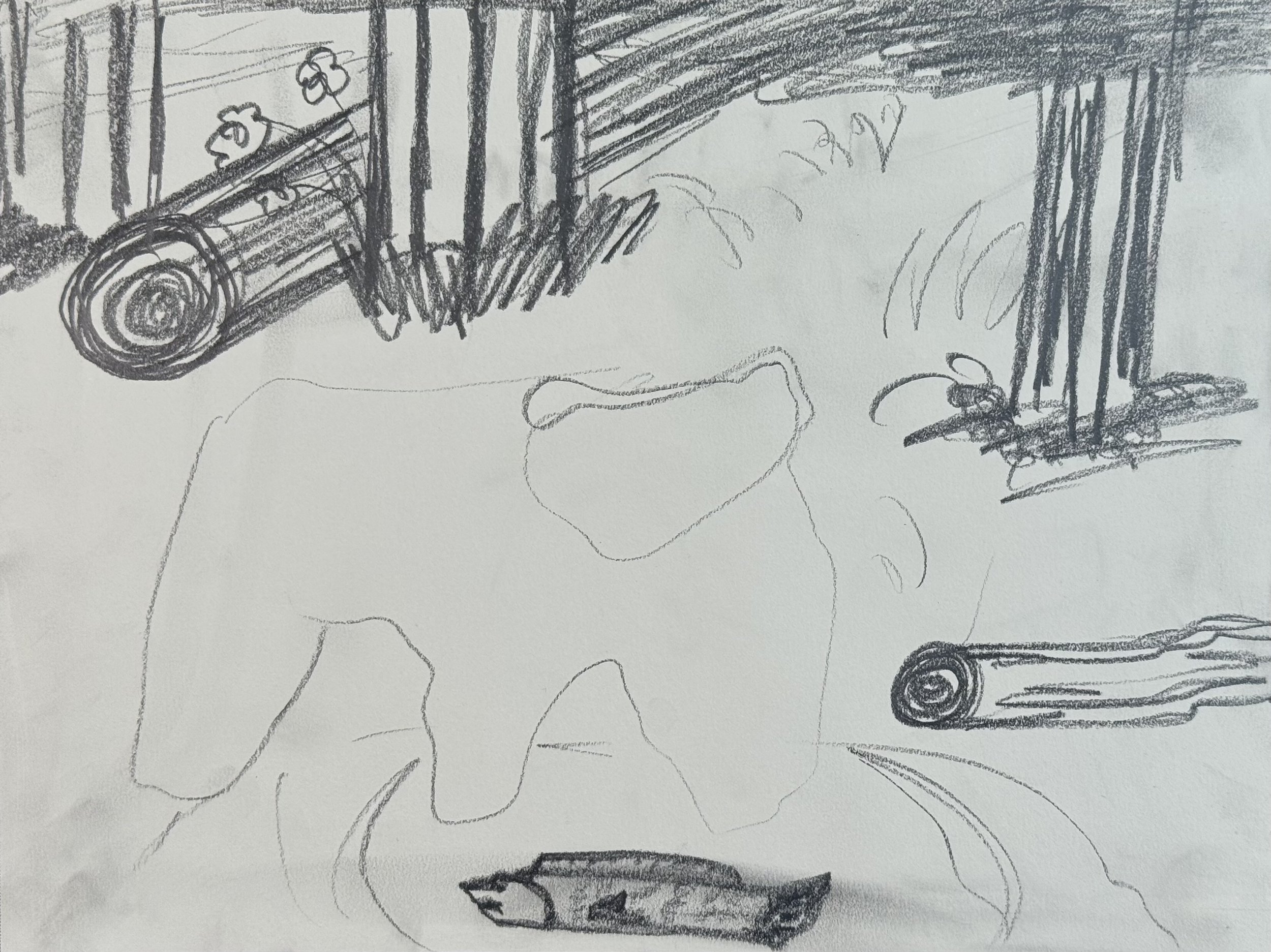 Bear with Fish, 9x12 in. 2024, graphite on paper