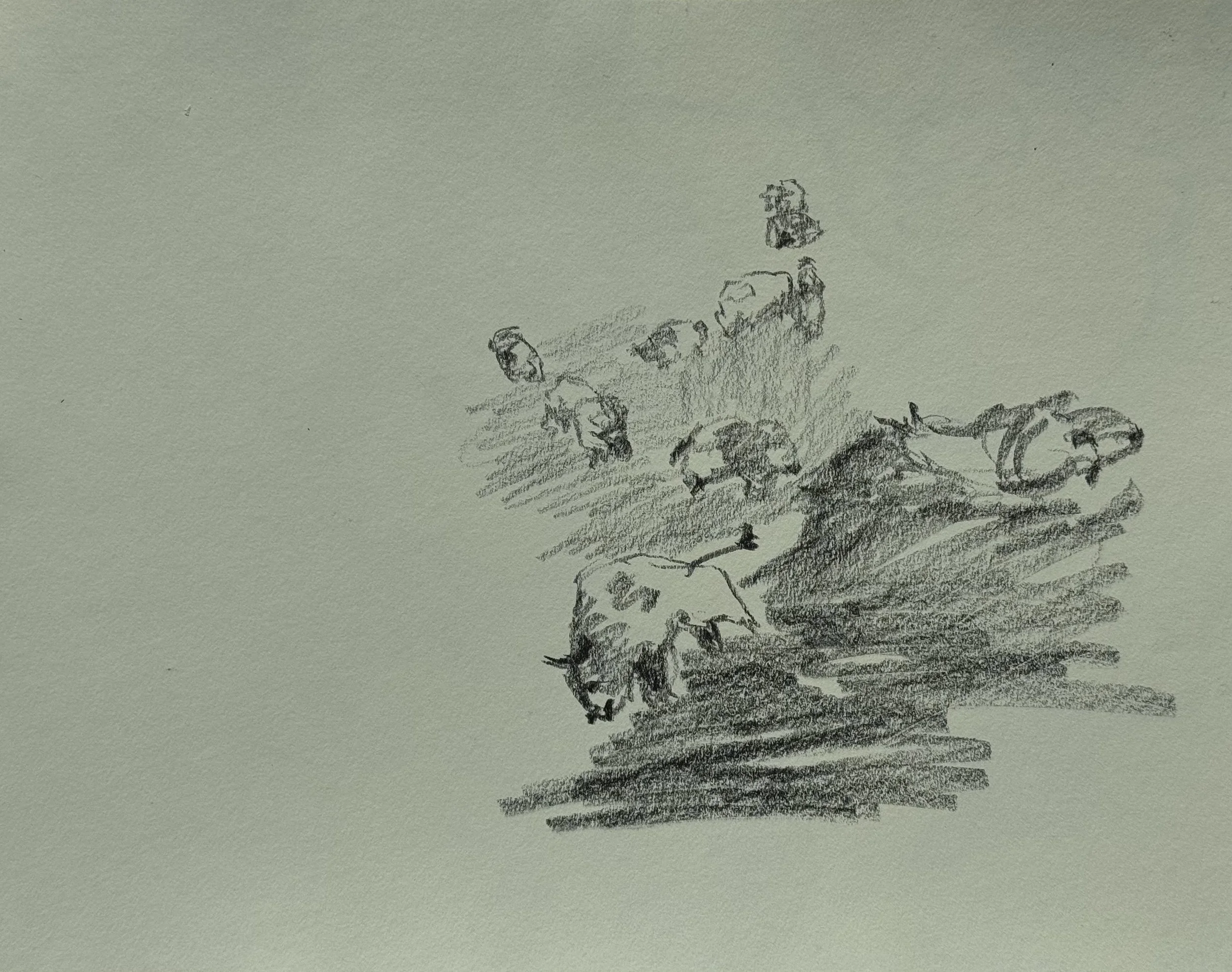 Bison Herd, graphite on paper, 11x14 inches, 2025