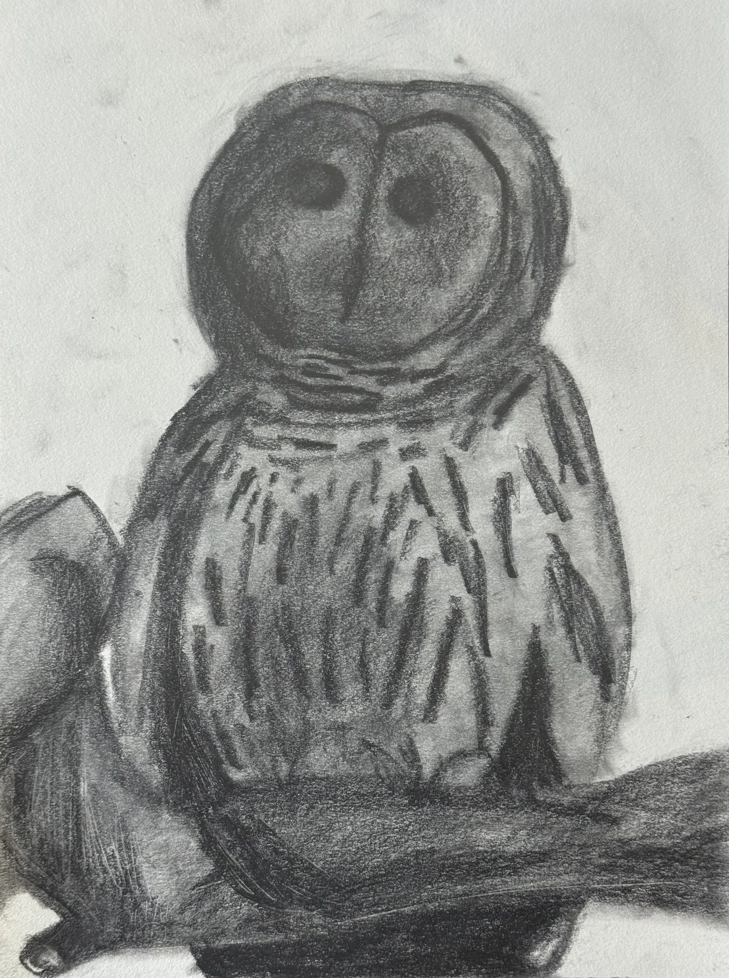 Barred Owl V, 9x11 in. 2025, graphite on paper