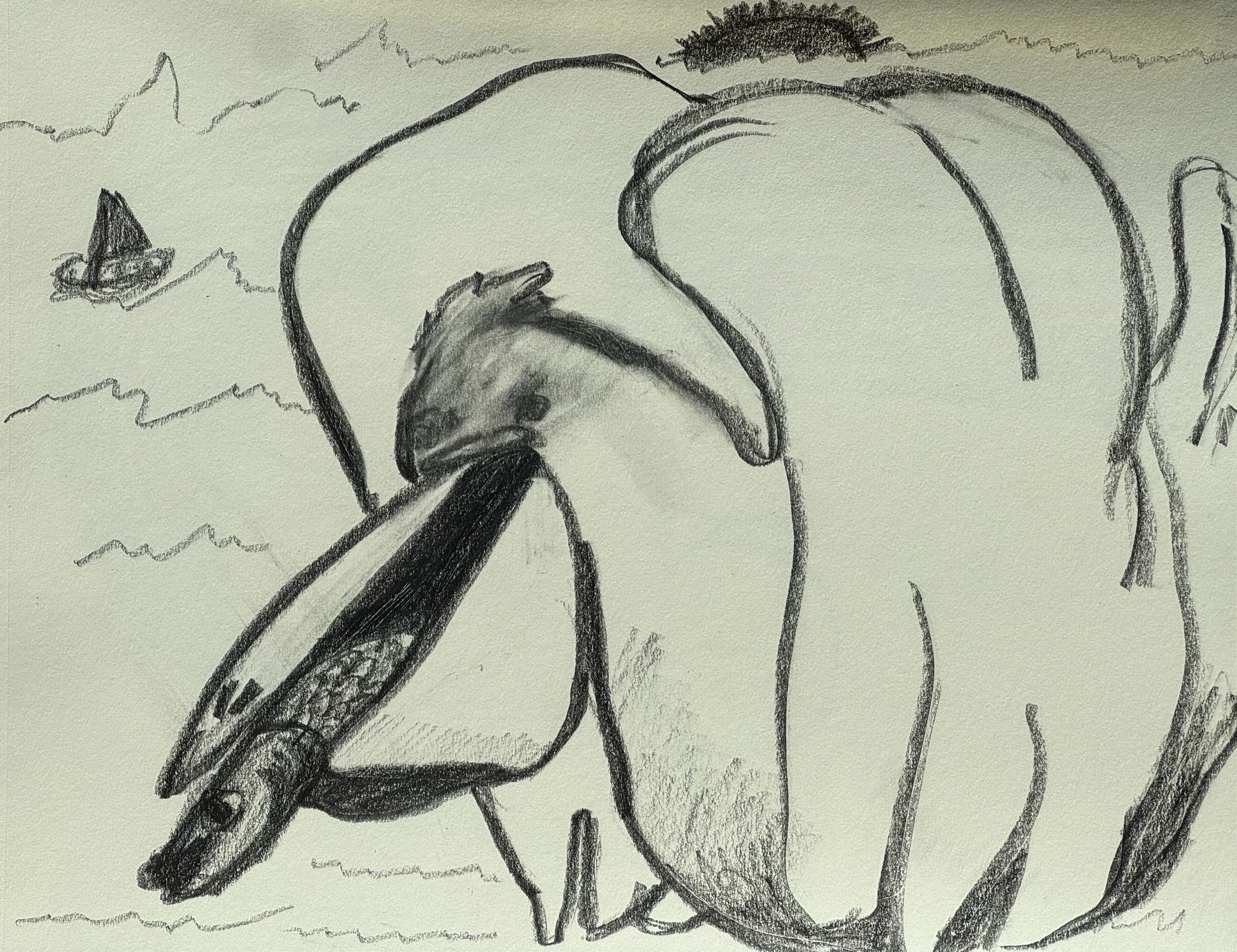 Gull with Fish, graphite on paper, 11x14 inches, 2025