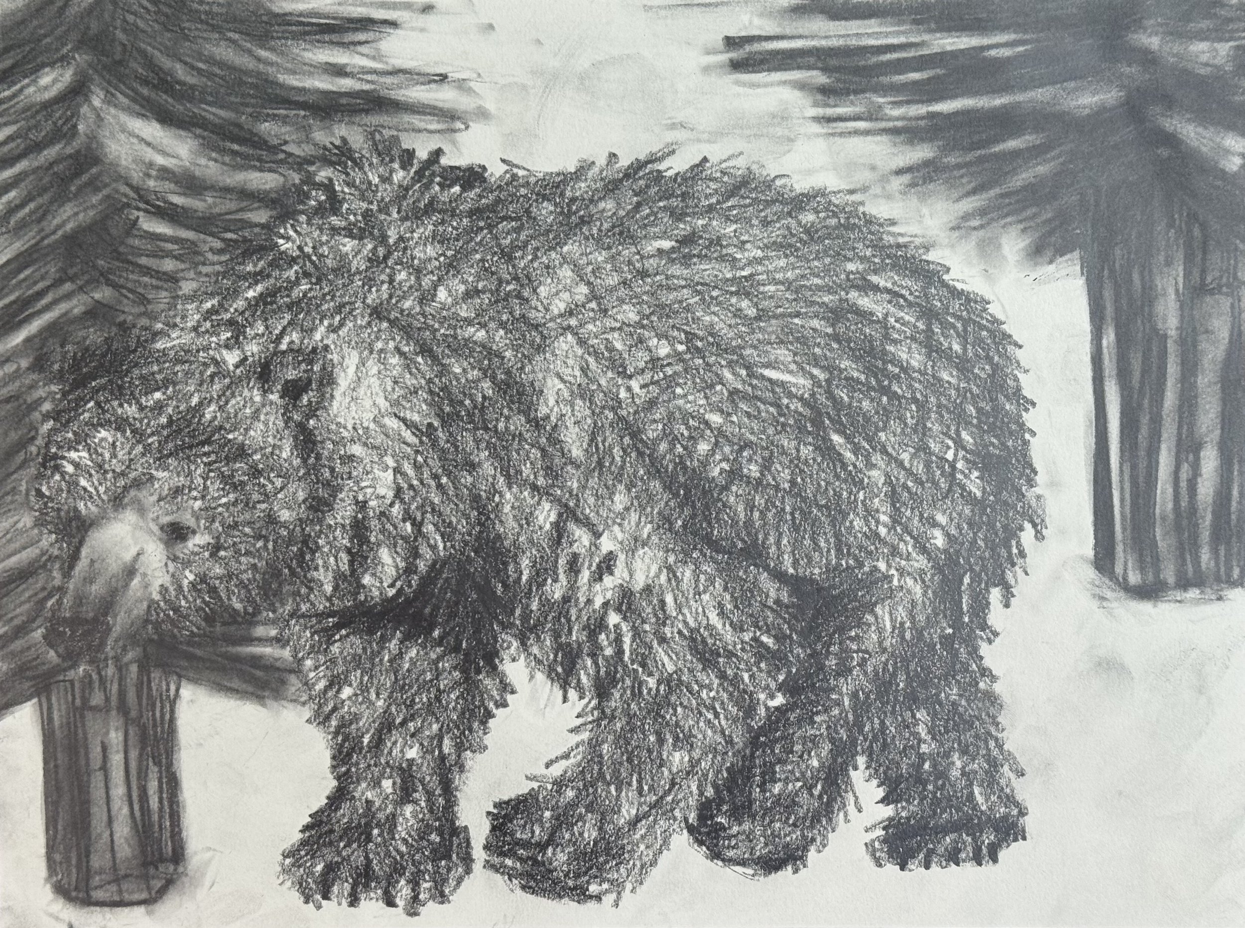 -Roaming Bear, 12x9 in. 2025, graphite on paper