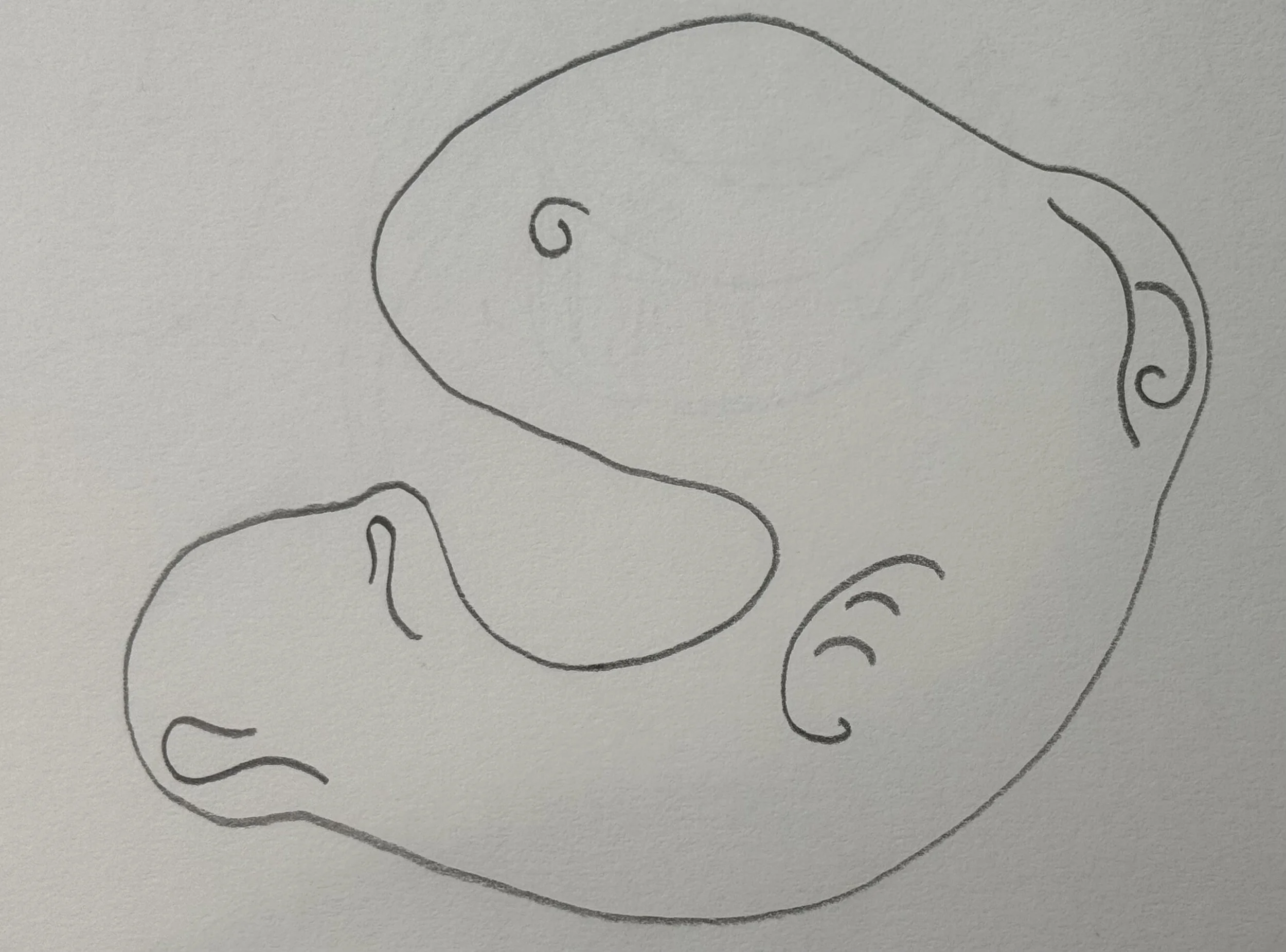 Fish, graphite on paper, 9x12 inches, 2023